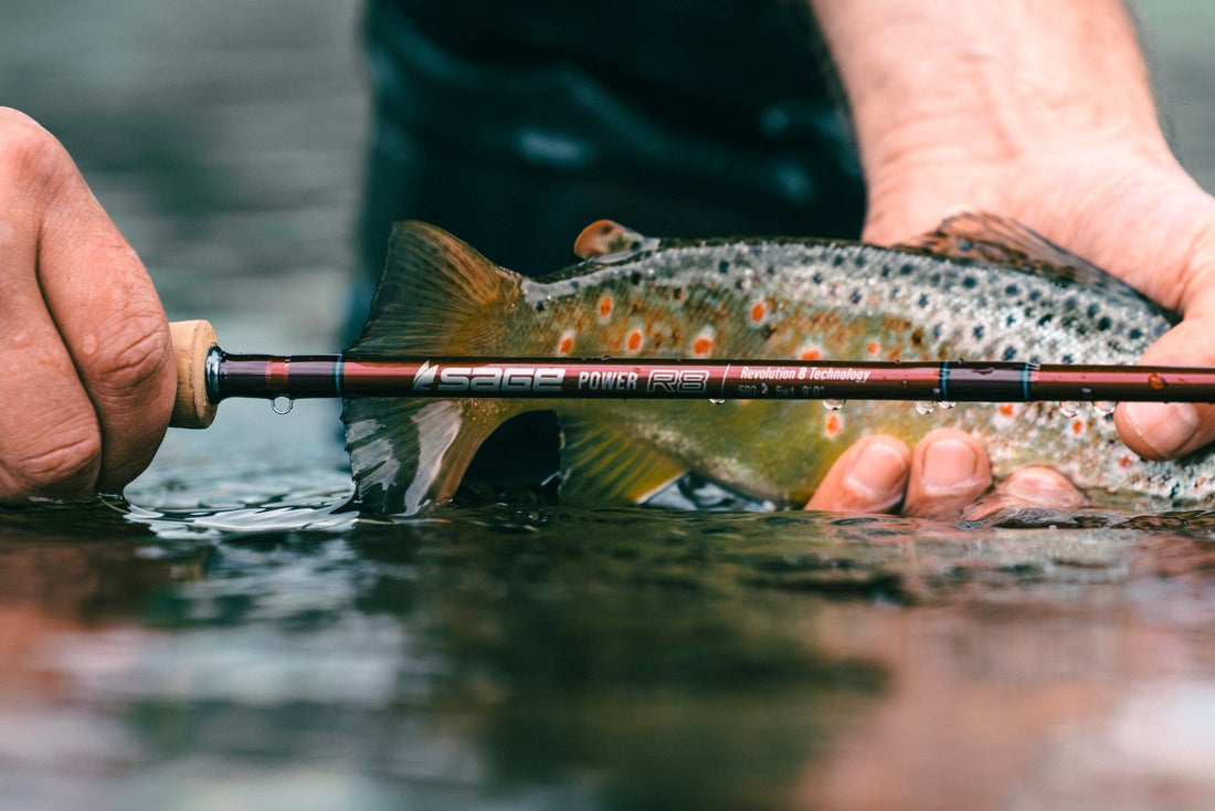 Sage Fly Rods