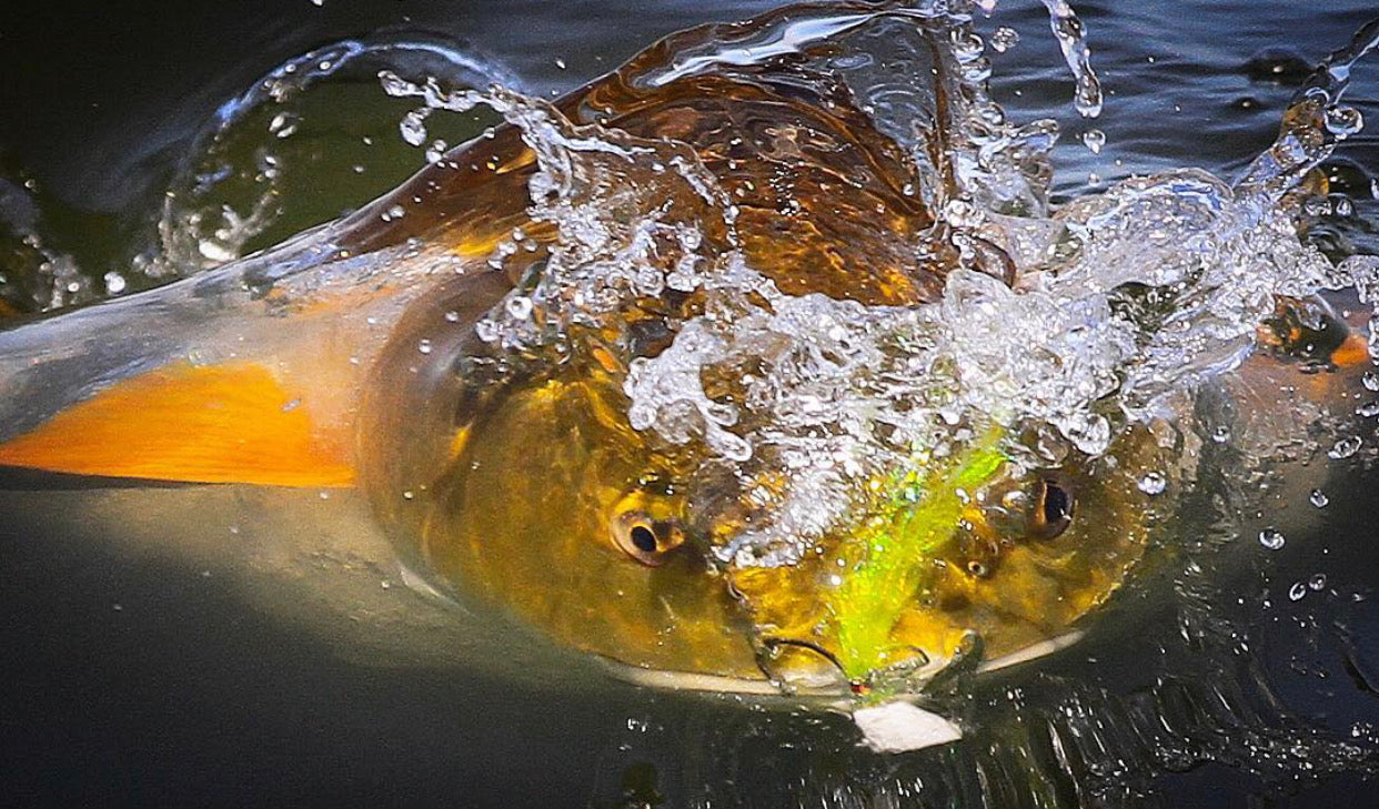 Schultz Outfitters 2026 Redfish Trips Gear Guide