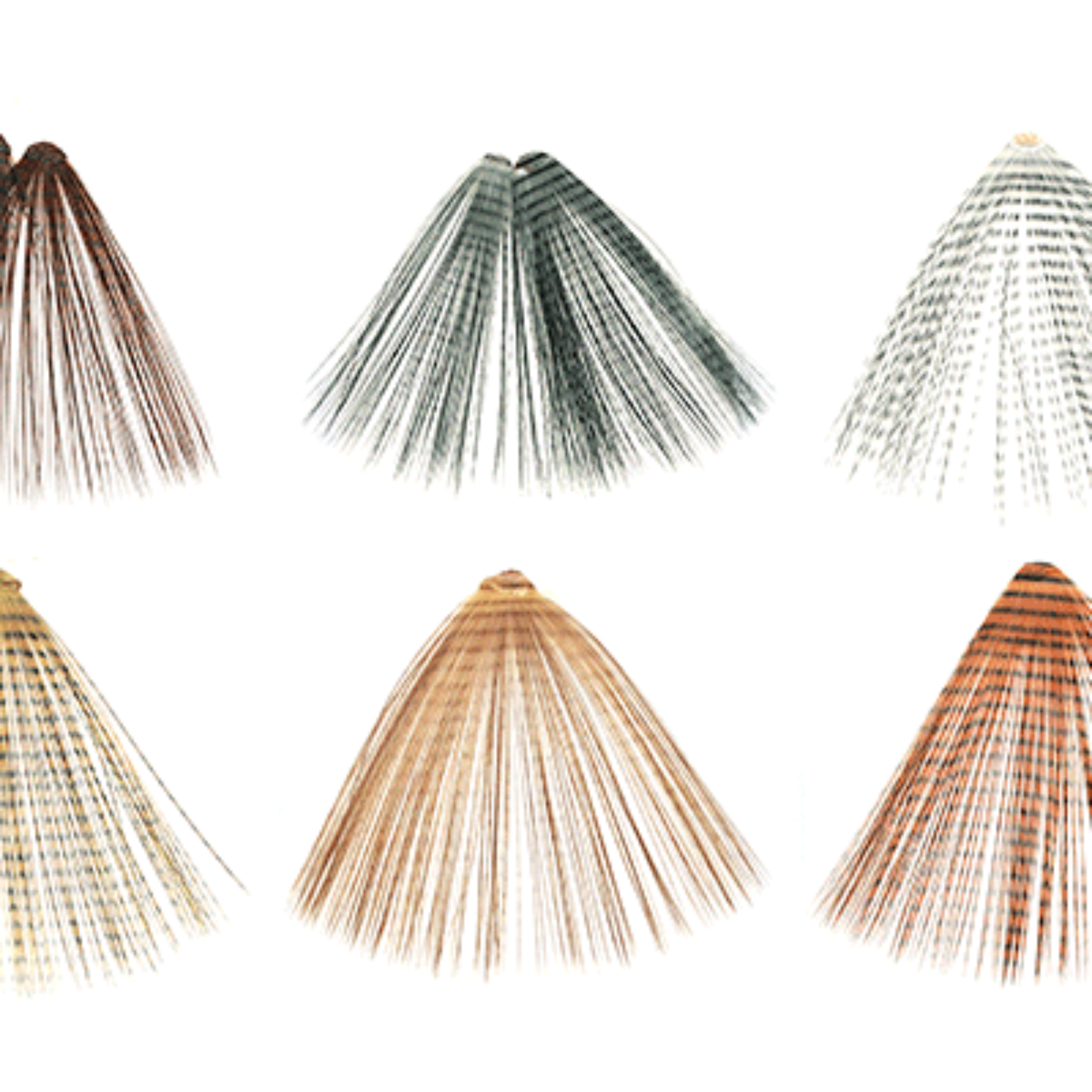 MFC Micro Barred Fibbetts