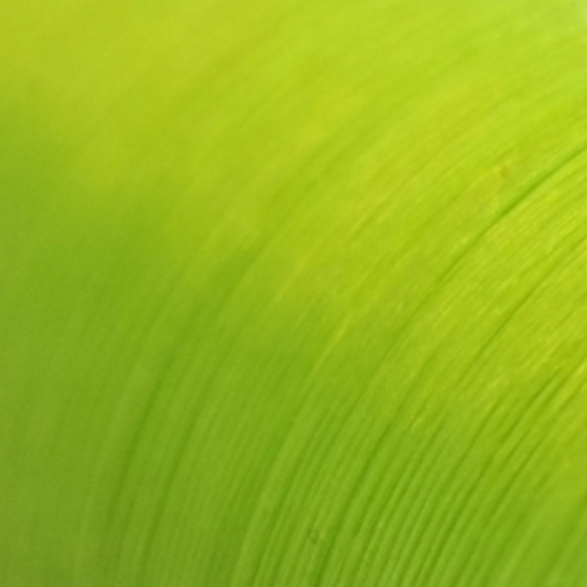 Semperfli Nano Silk 100D Saltwater Fly Tying Thread