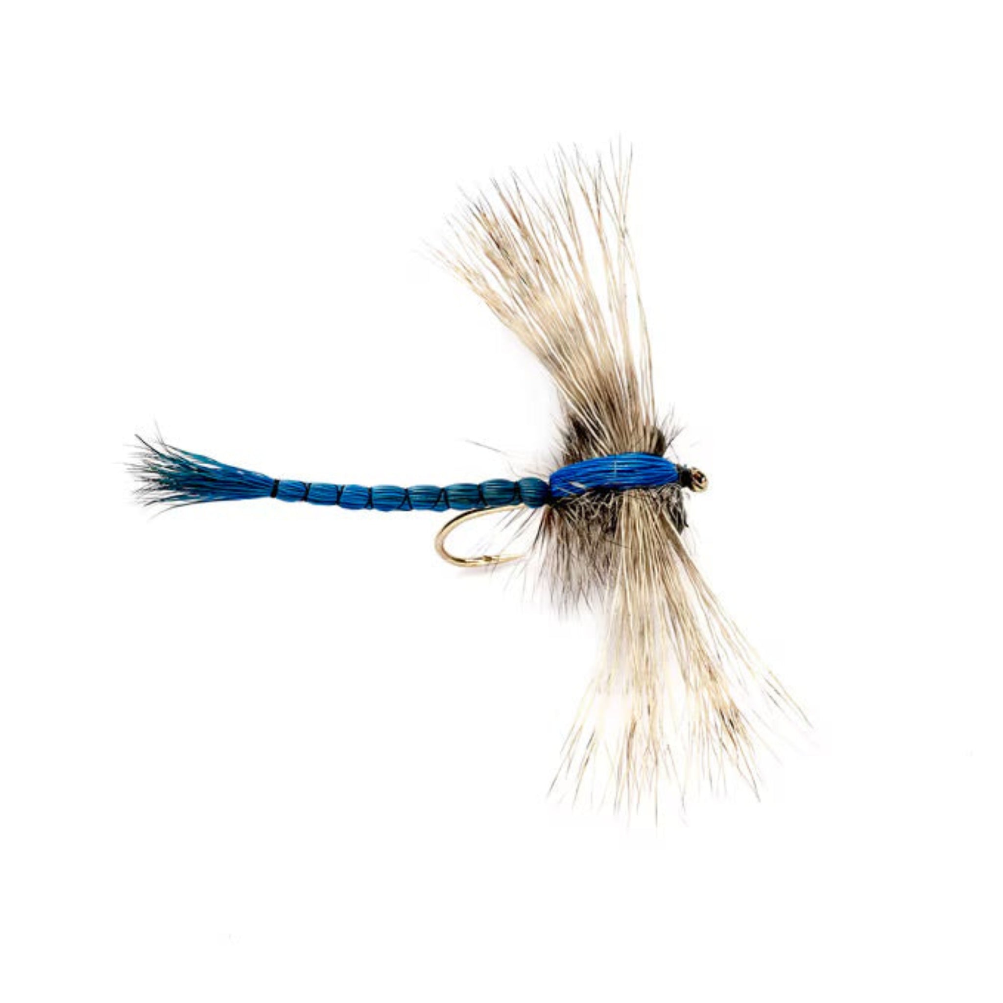 Gibson's Dragon Fly