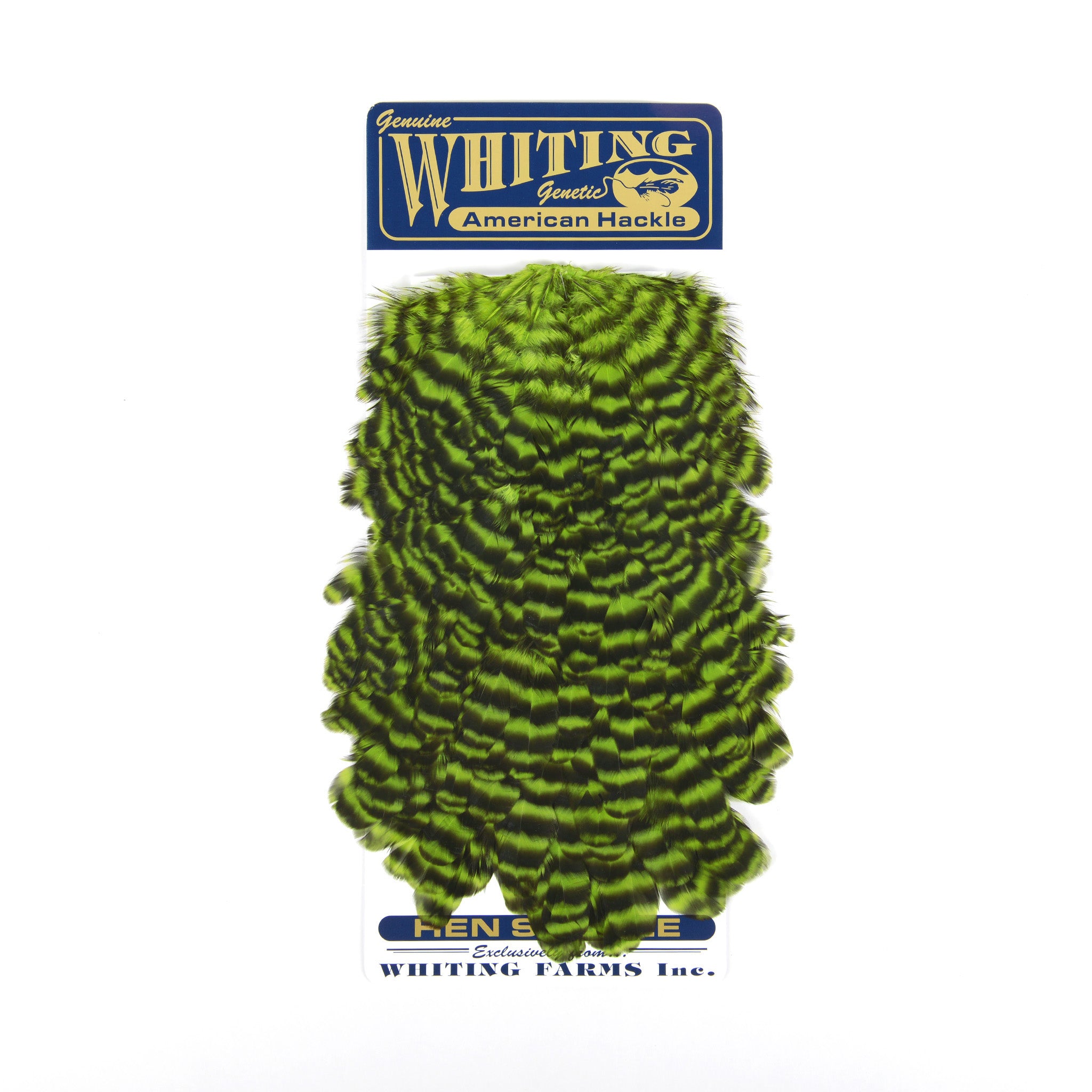 Whiting American Hen Saddle