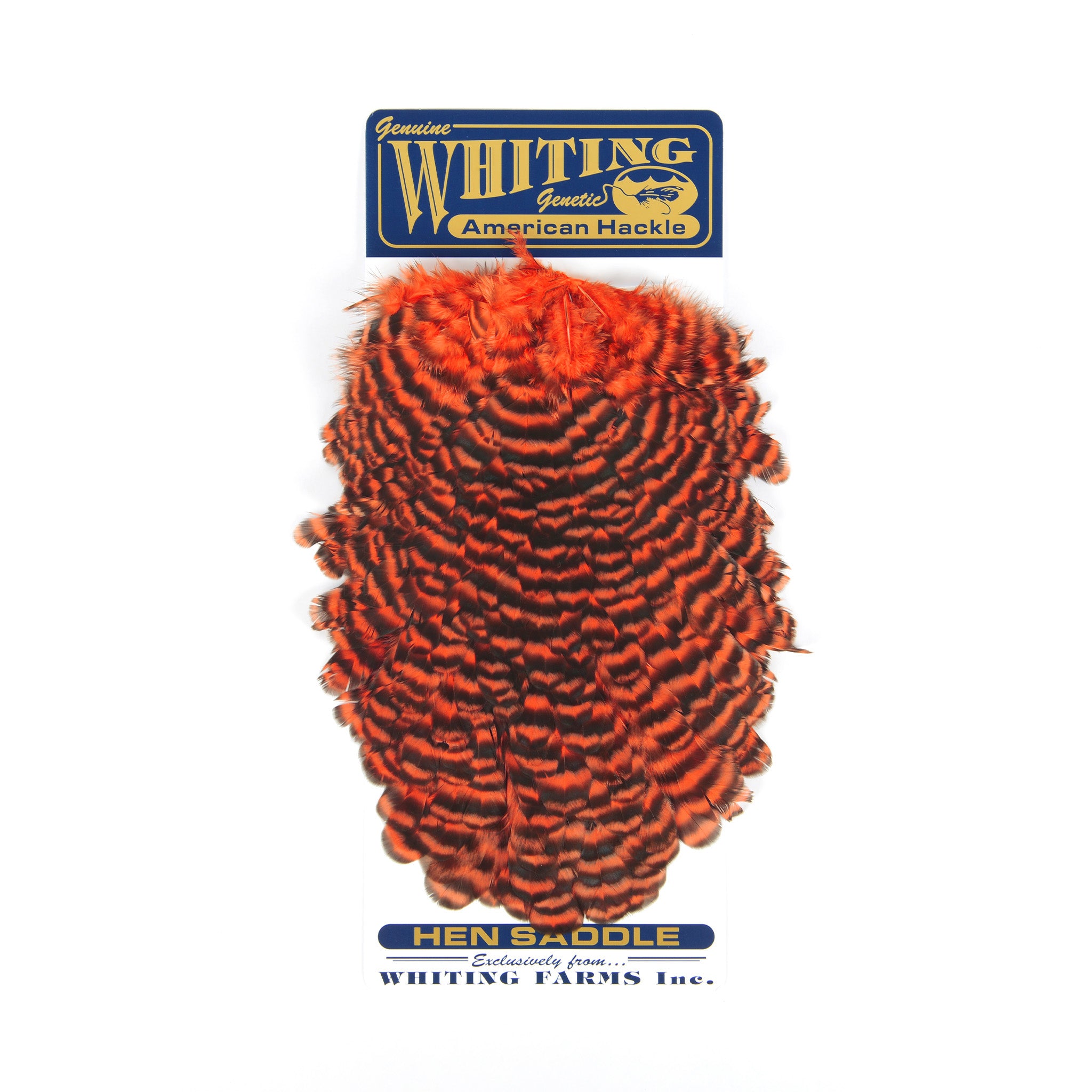Whiting American Hen Saddle