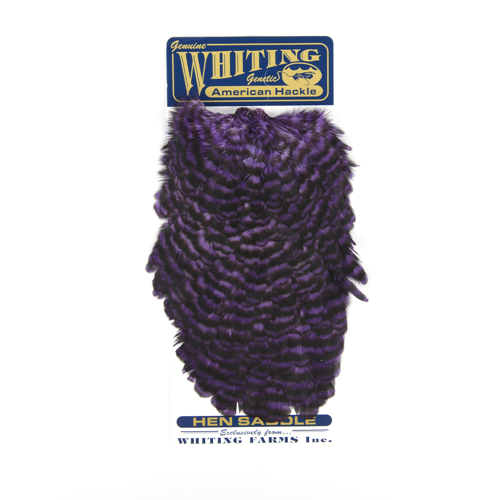 Whiting American Hen Saddle