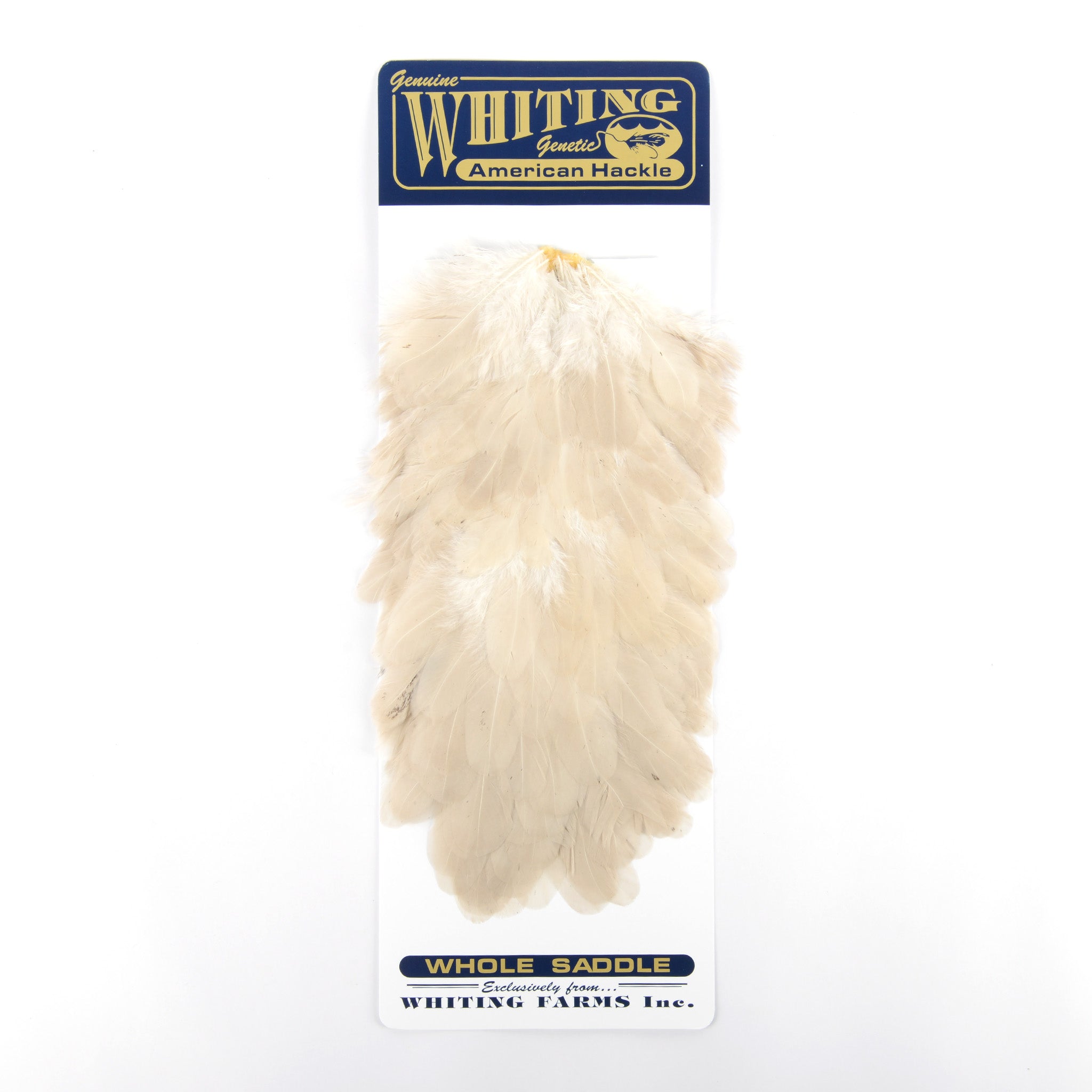 Whiting American Hen Saddle