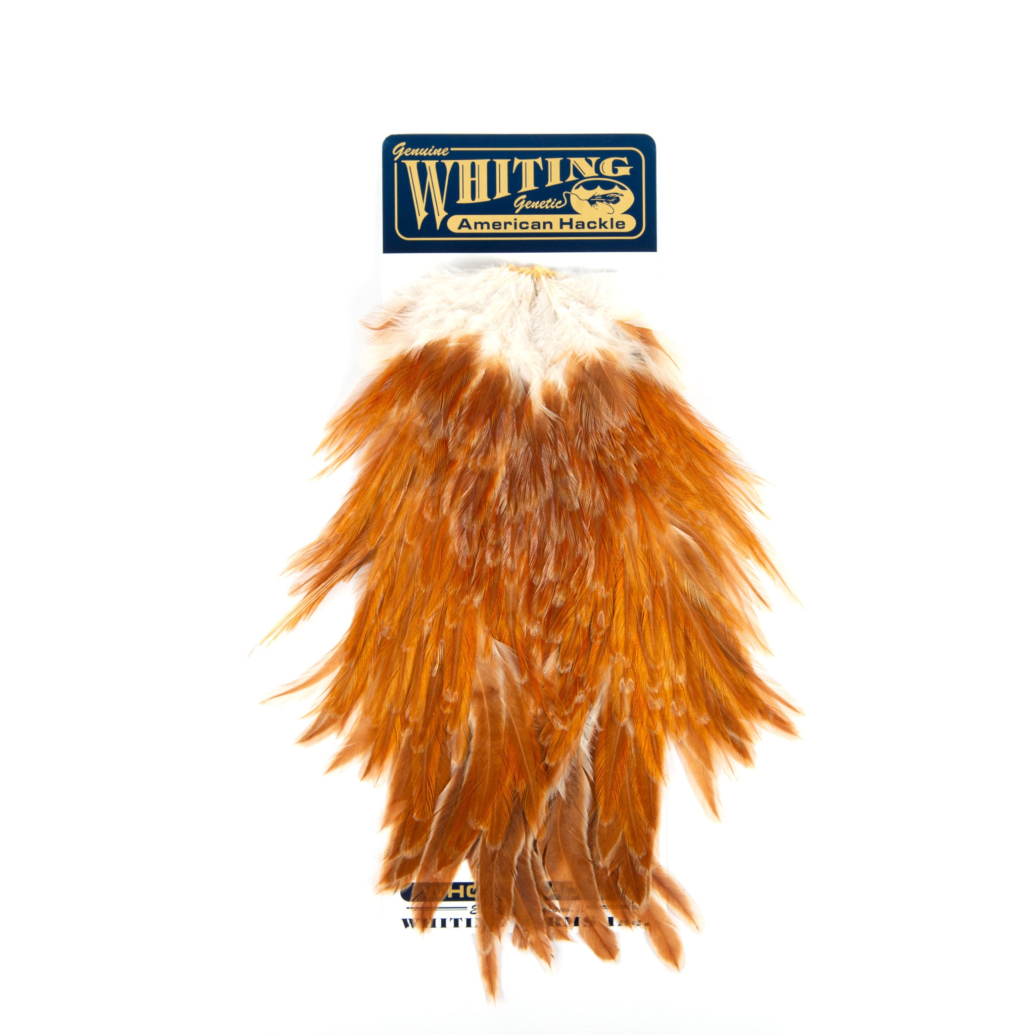 Whiting American Rooster Saddle | Schultz Outfitters