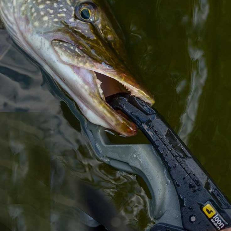 Loon Apex Lip Gripper