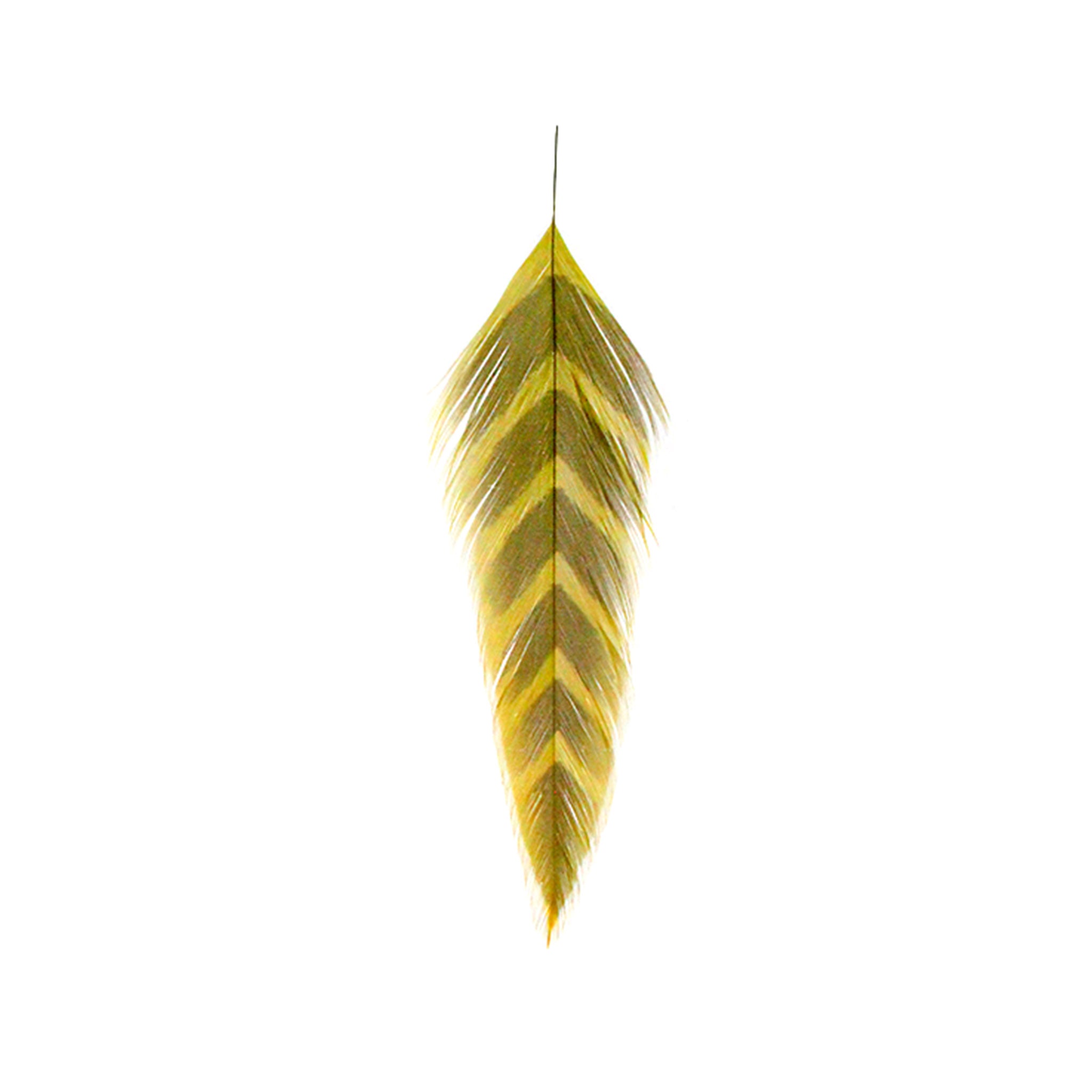 MFC Galloup's Arrowhead Fish Feathers