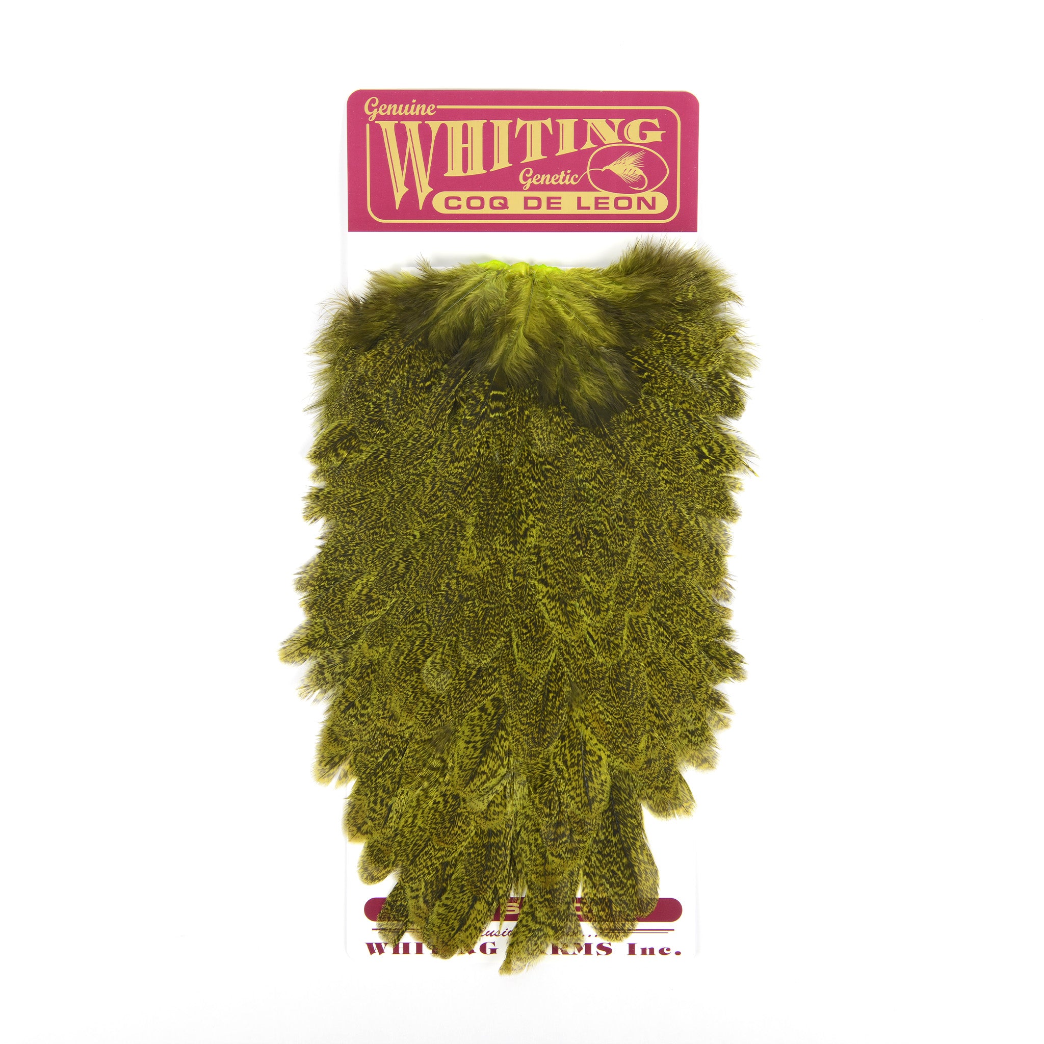 Whiting Coq De Leon Hen Saddle