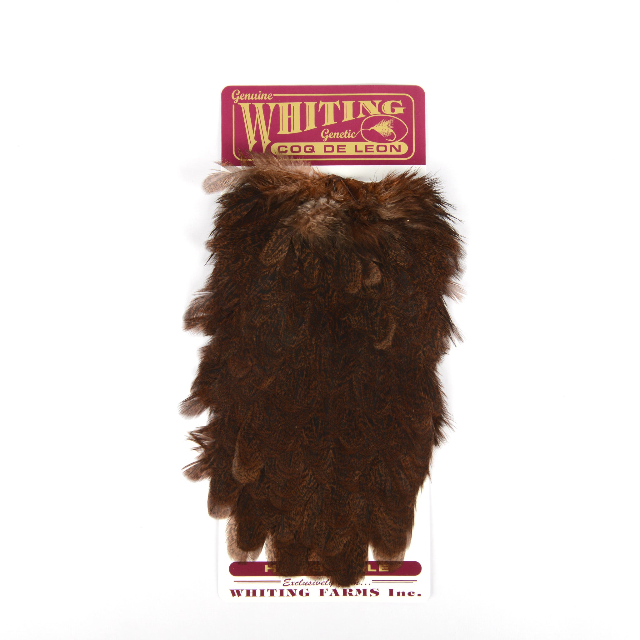 Whiting Coq De Leon Hen Saddle