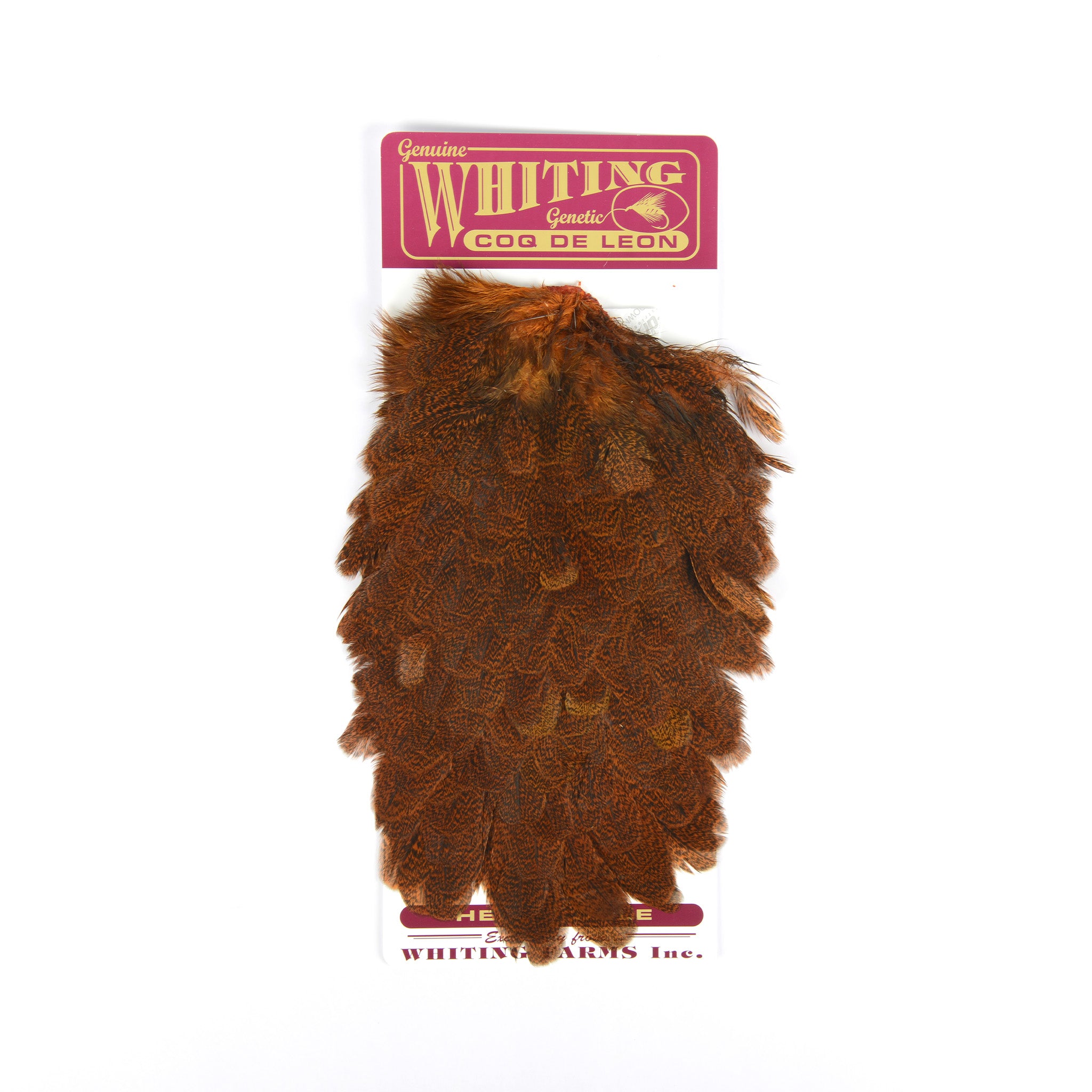 Whiting Coq De Leon Hen Saddle