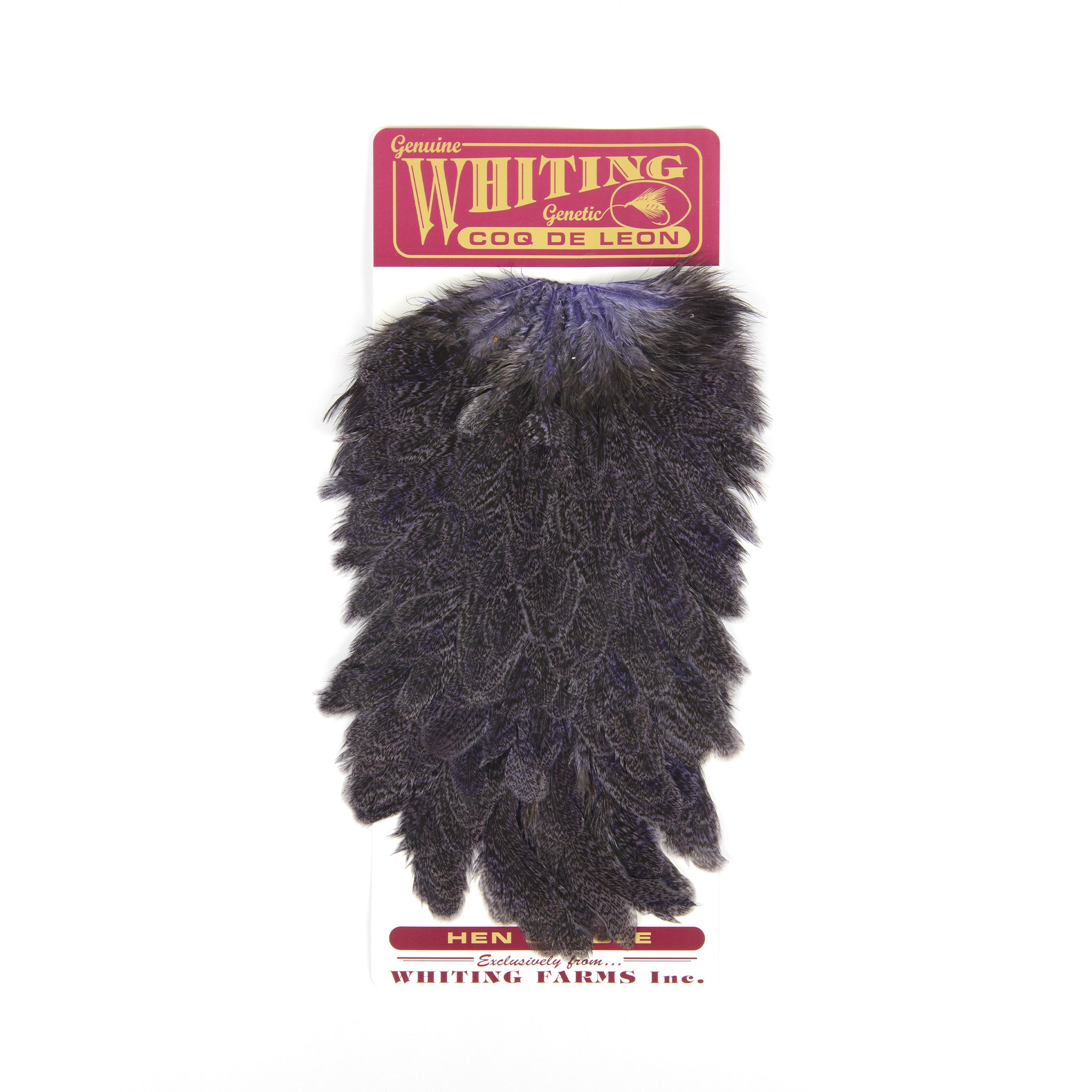 Whiting Coq De Leon Hen Saddle