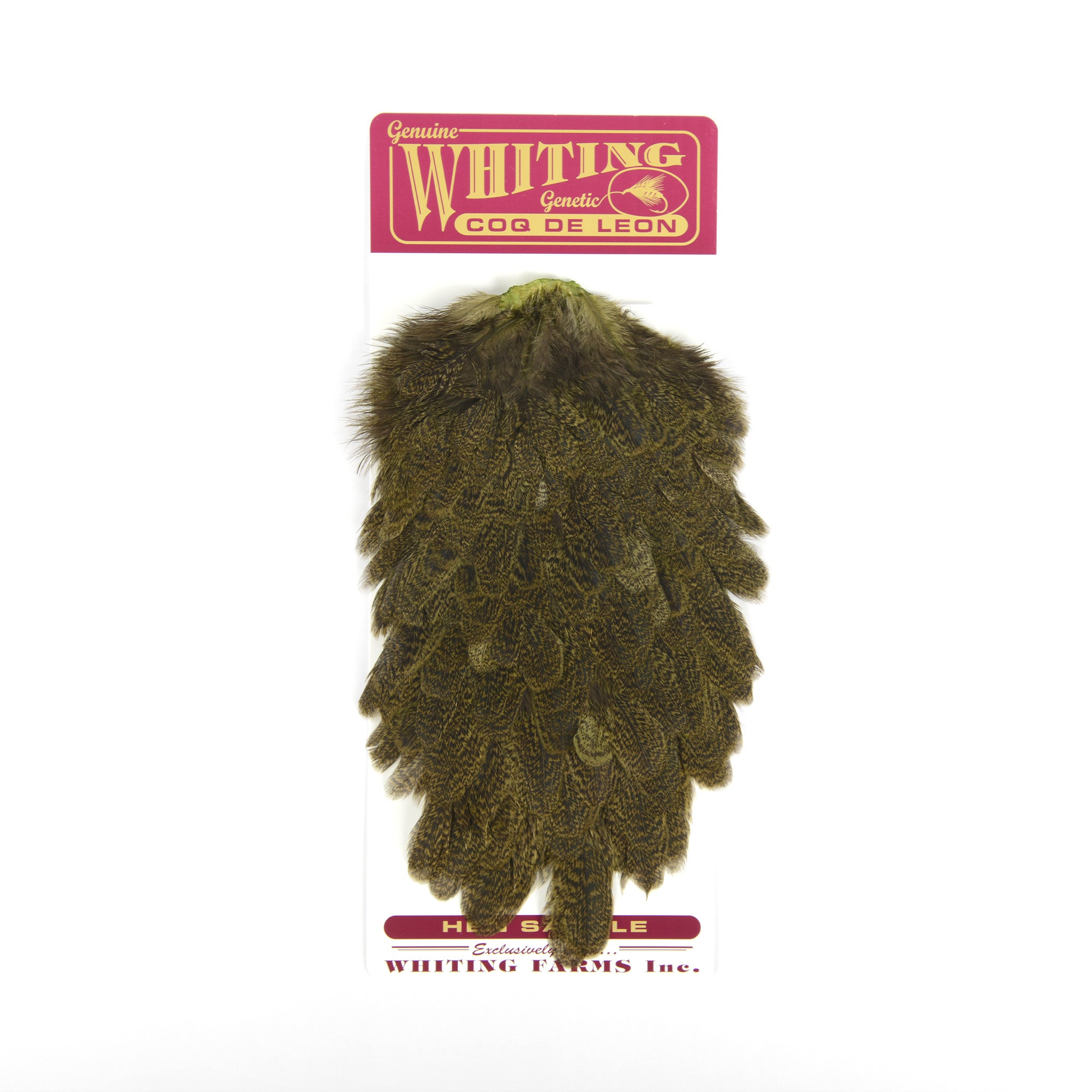 Whiting Coq De Leon Hen Saddle