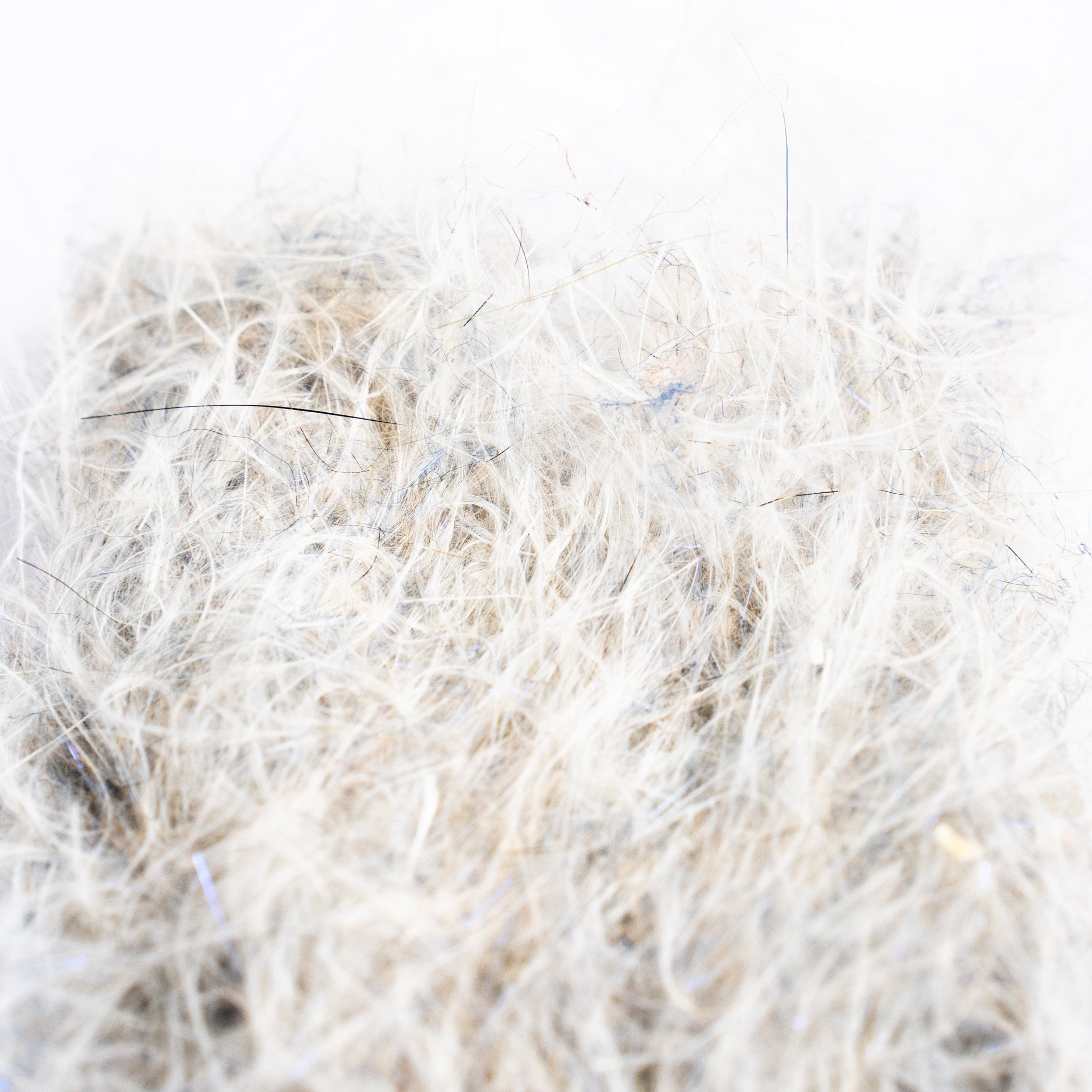 Senyo's Dirty Bird Dubbing