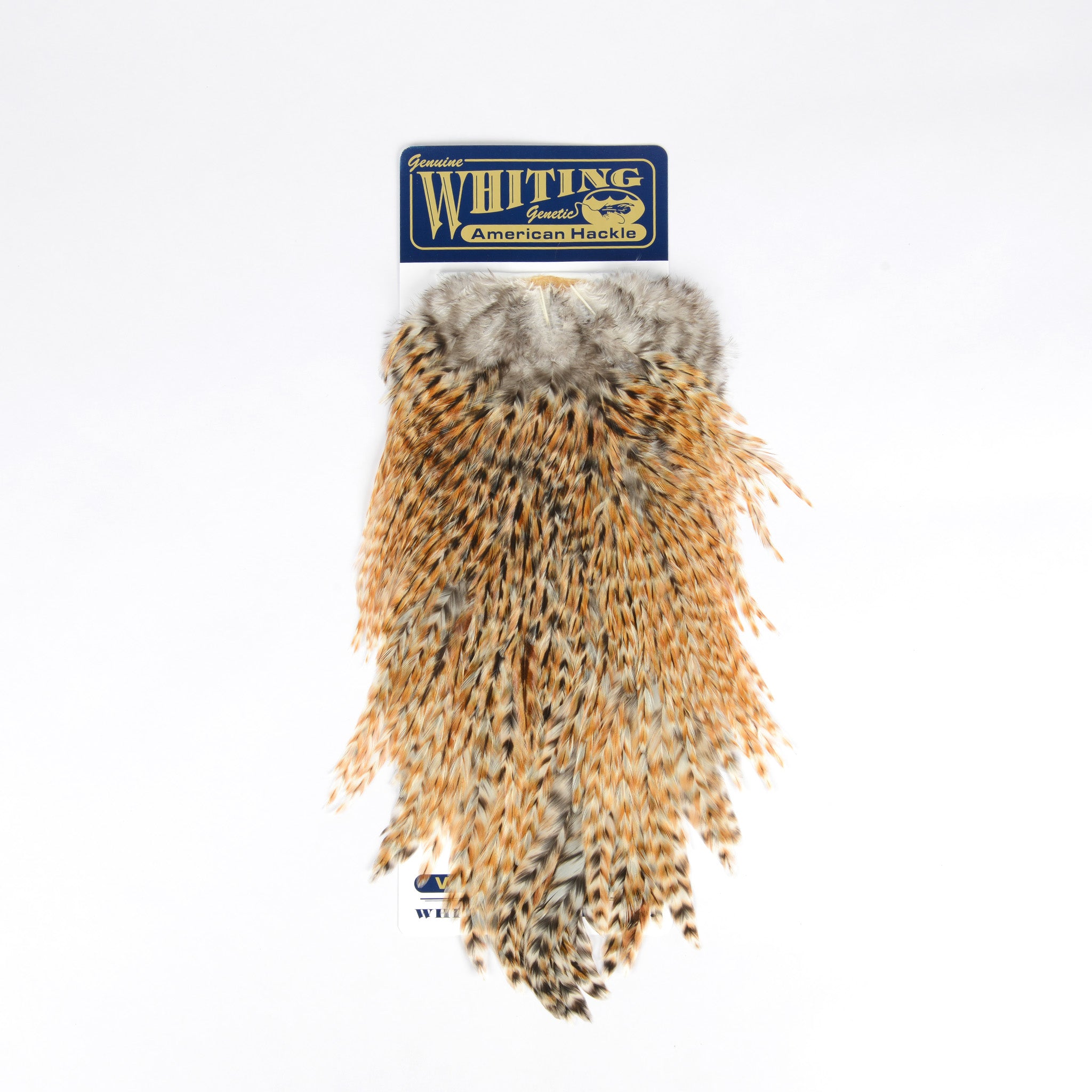Whiting American Rooster Saddle