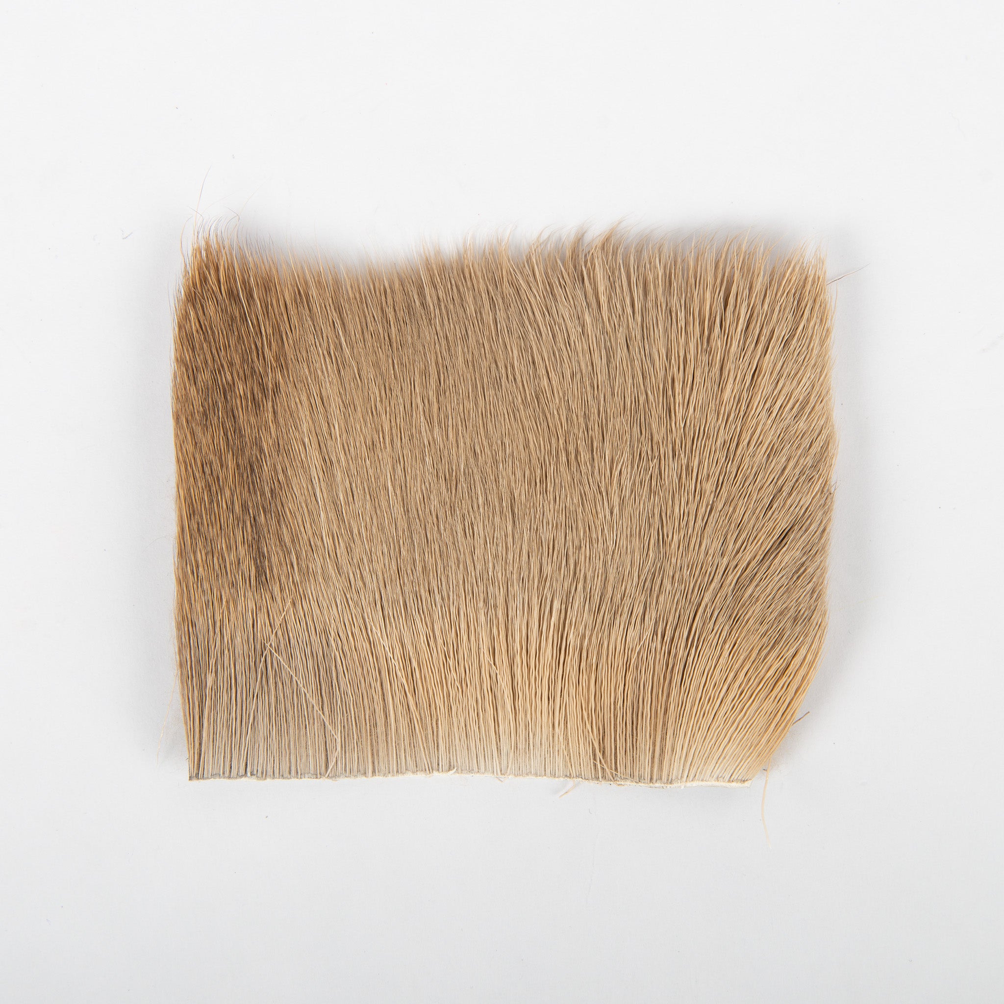 Varner's Deer Belly Hair