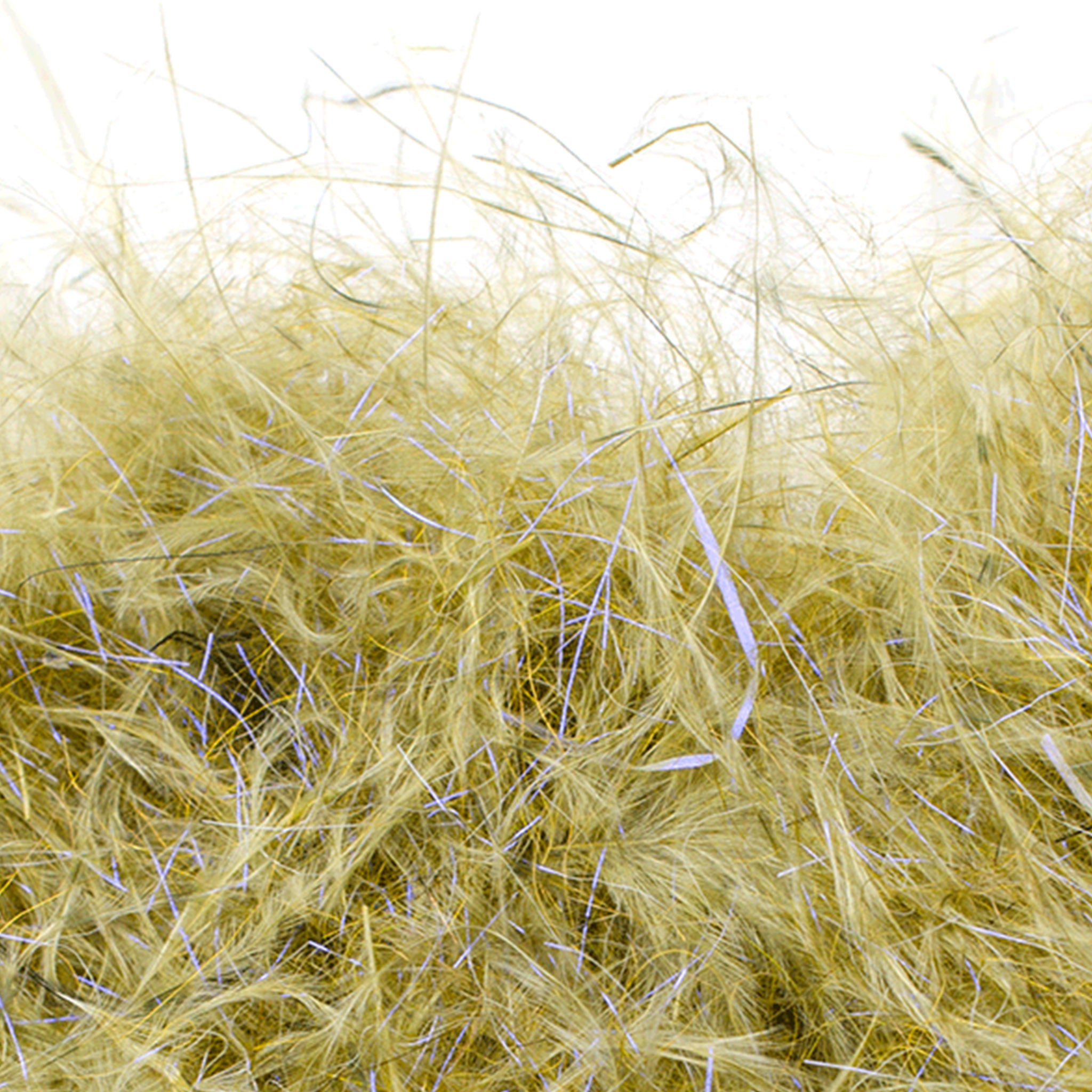 Senyo's Dirty Bird Dubbing