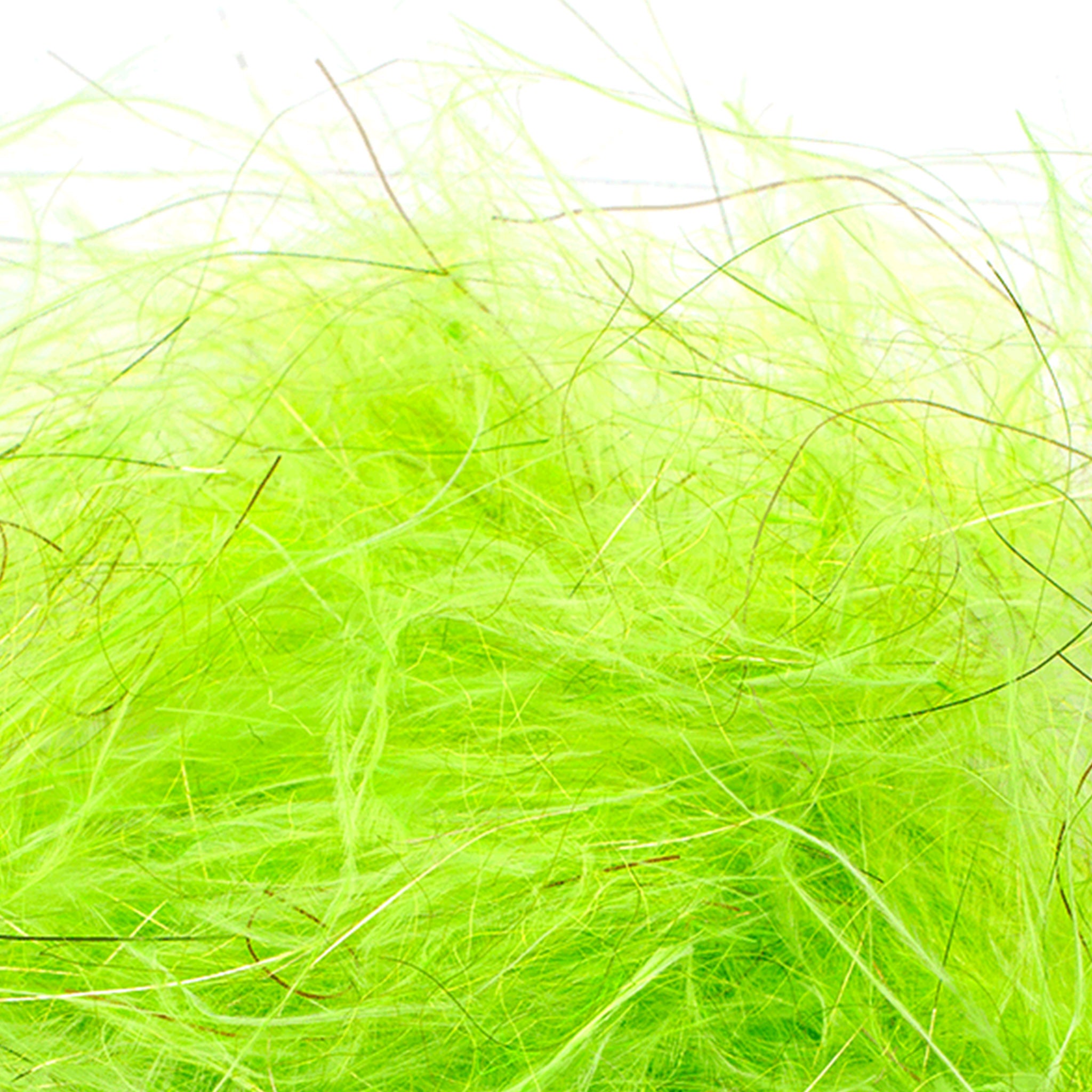 Senyo's Dirty Bird Dubbing