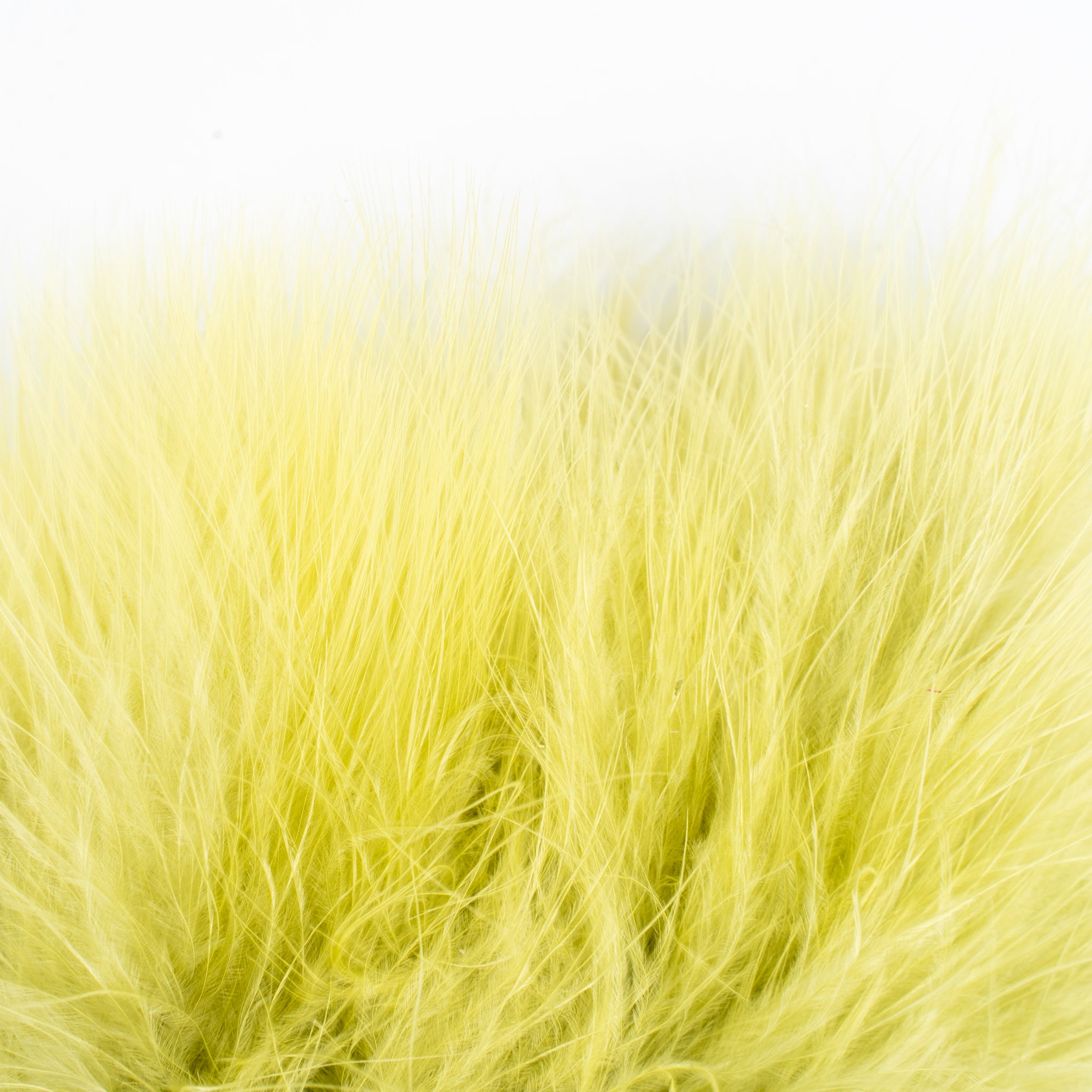 Nature's Spirit Fish Hunter Marabou