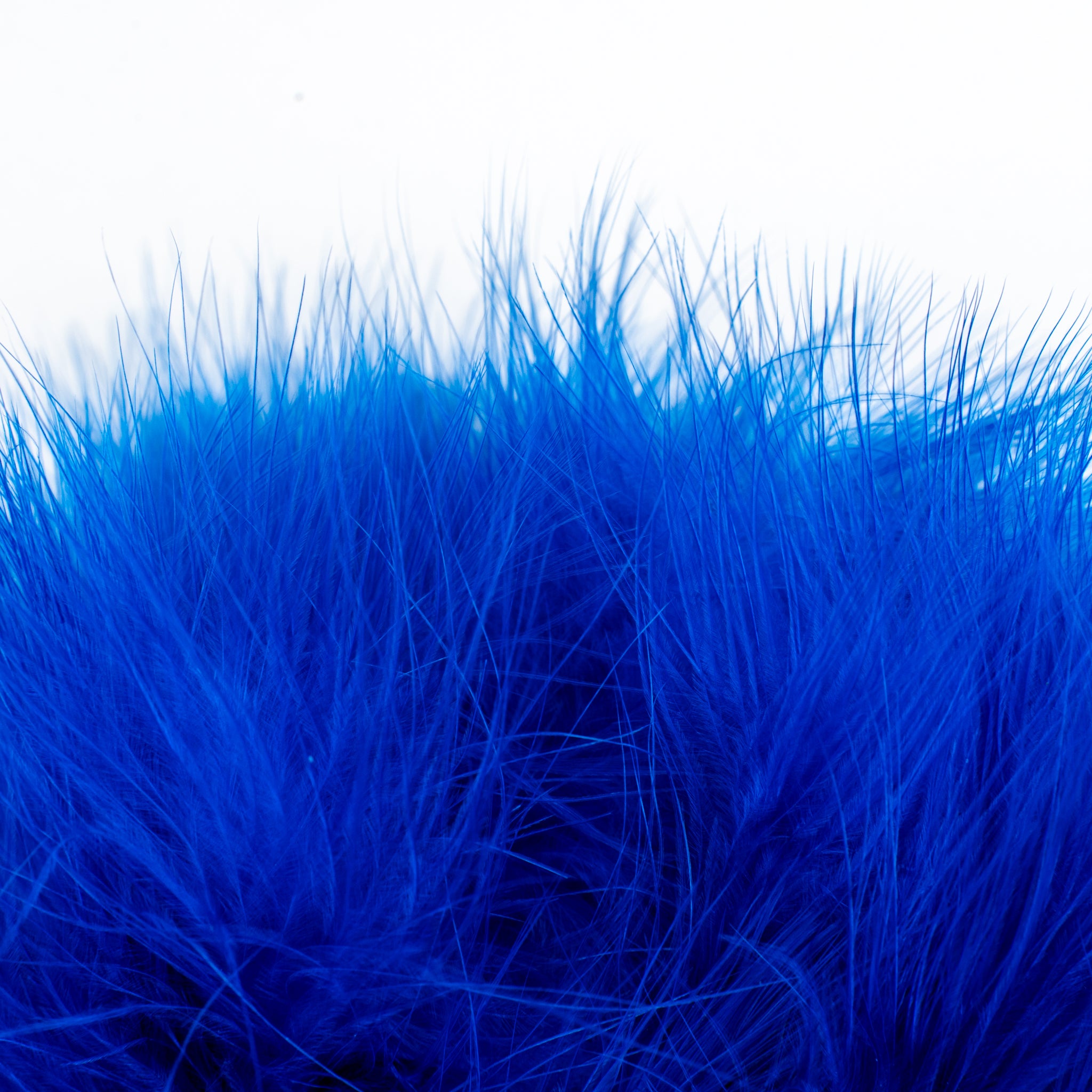 Nature's Spirit Fish Hunter Marabou