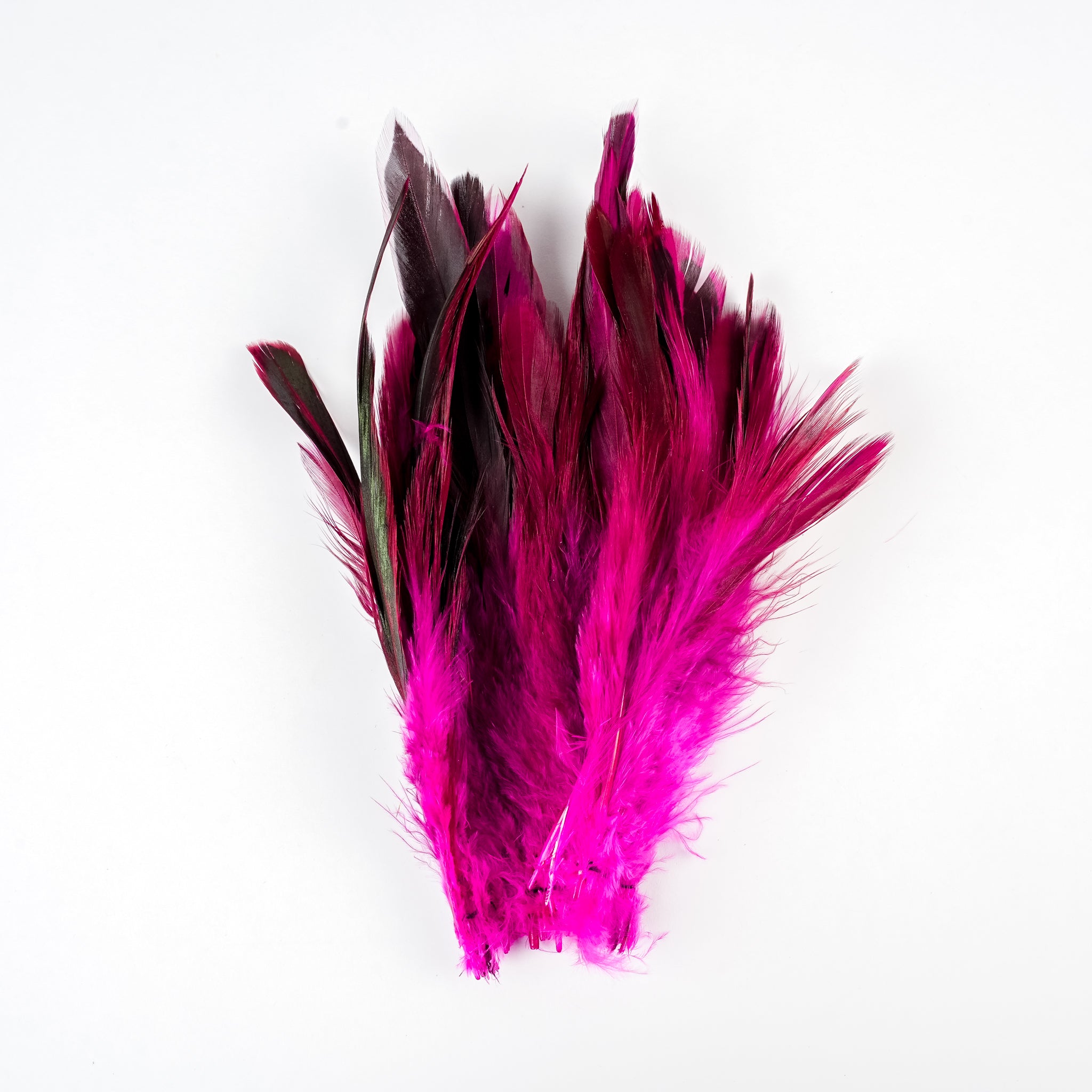 Nature's Spirit Fish Hunter Mottled Schlappen