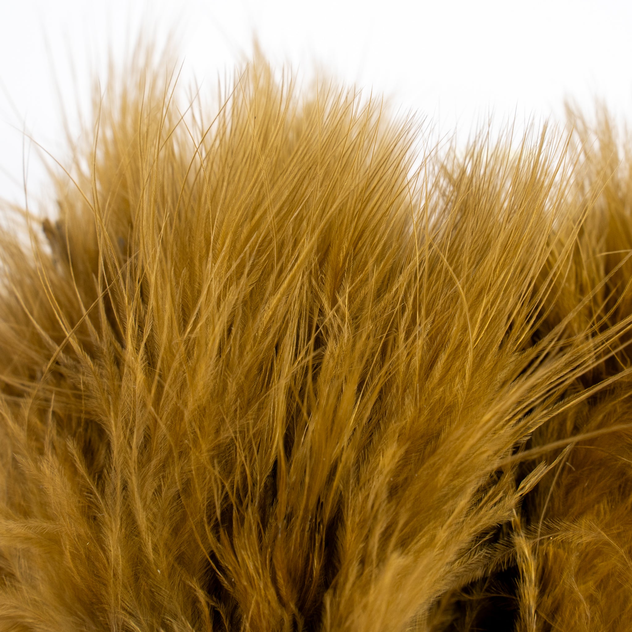 Nature's Spirit Fish Hunter Marabou