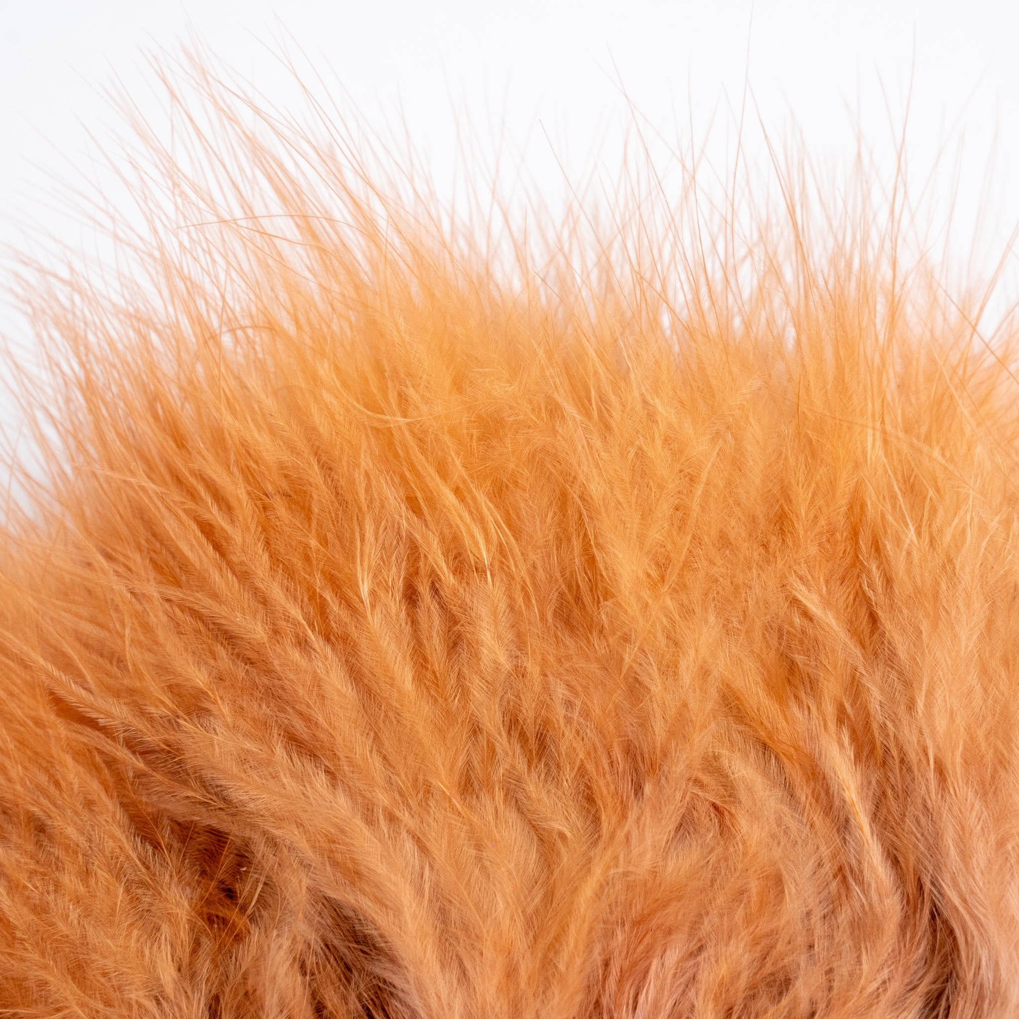 Nature's Spirit Fish Hunter Marabou