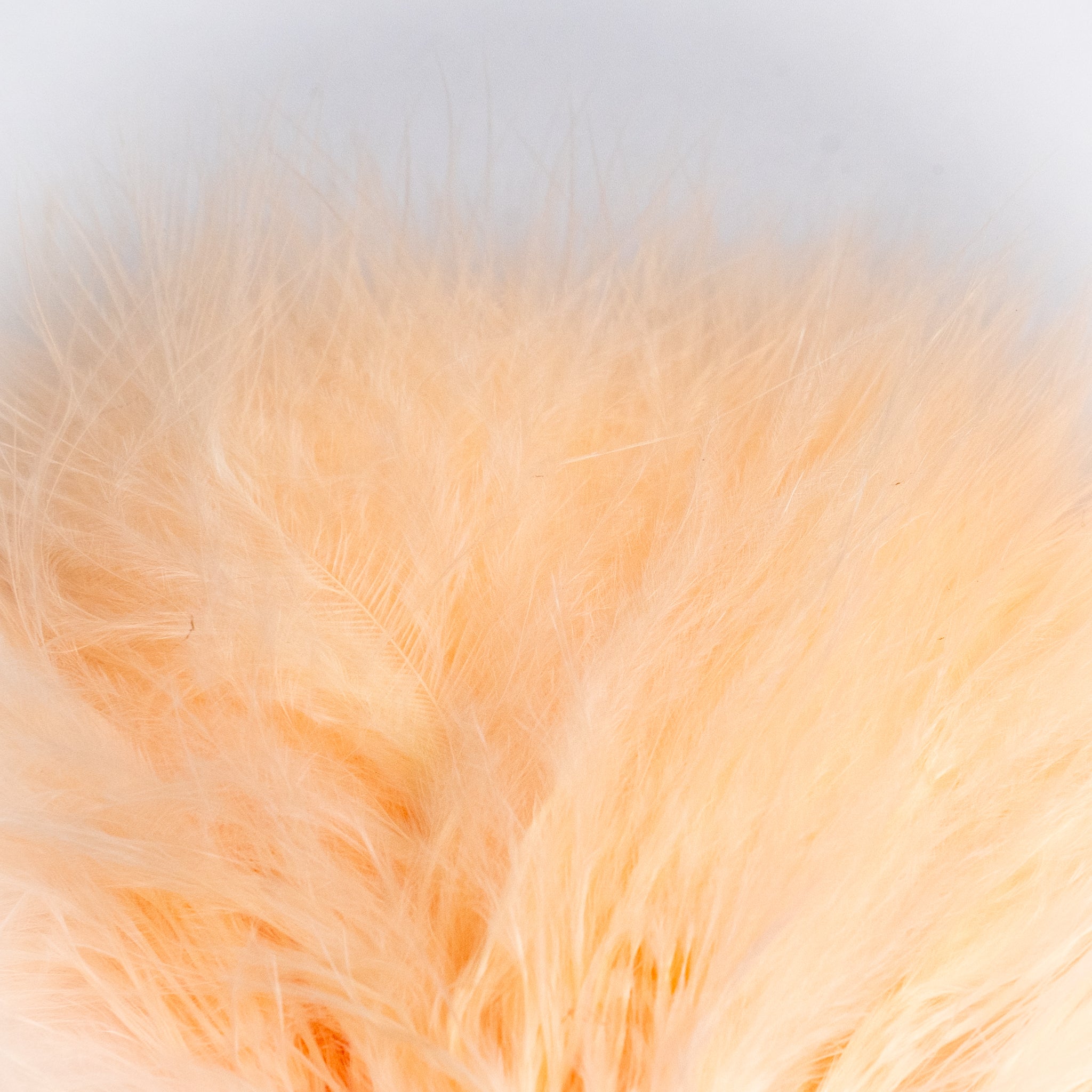 Nature's Spirit Fish Hunter Marabou