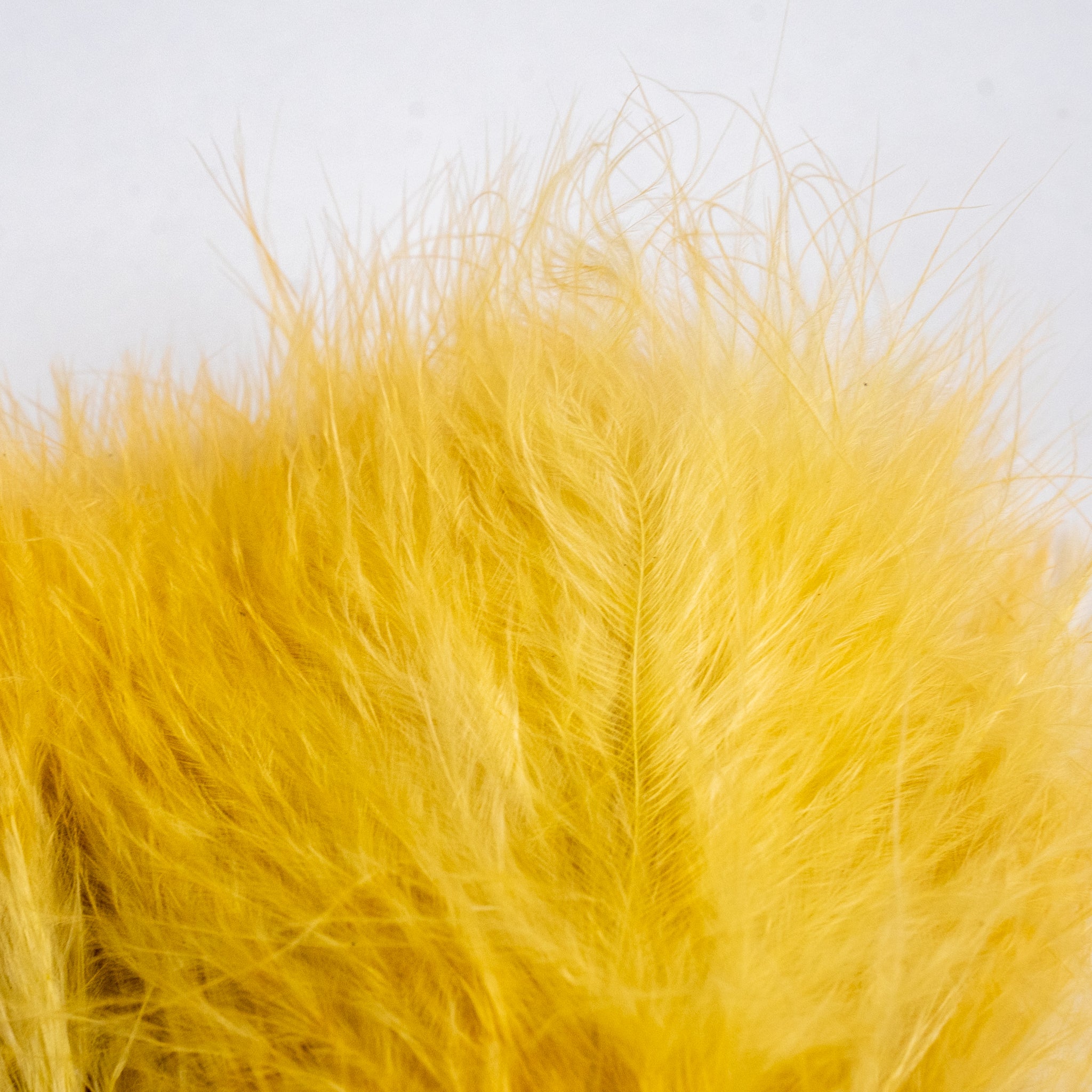 Nature's Spirit Fish Hunter Marabou