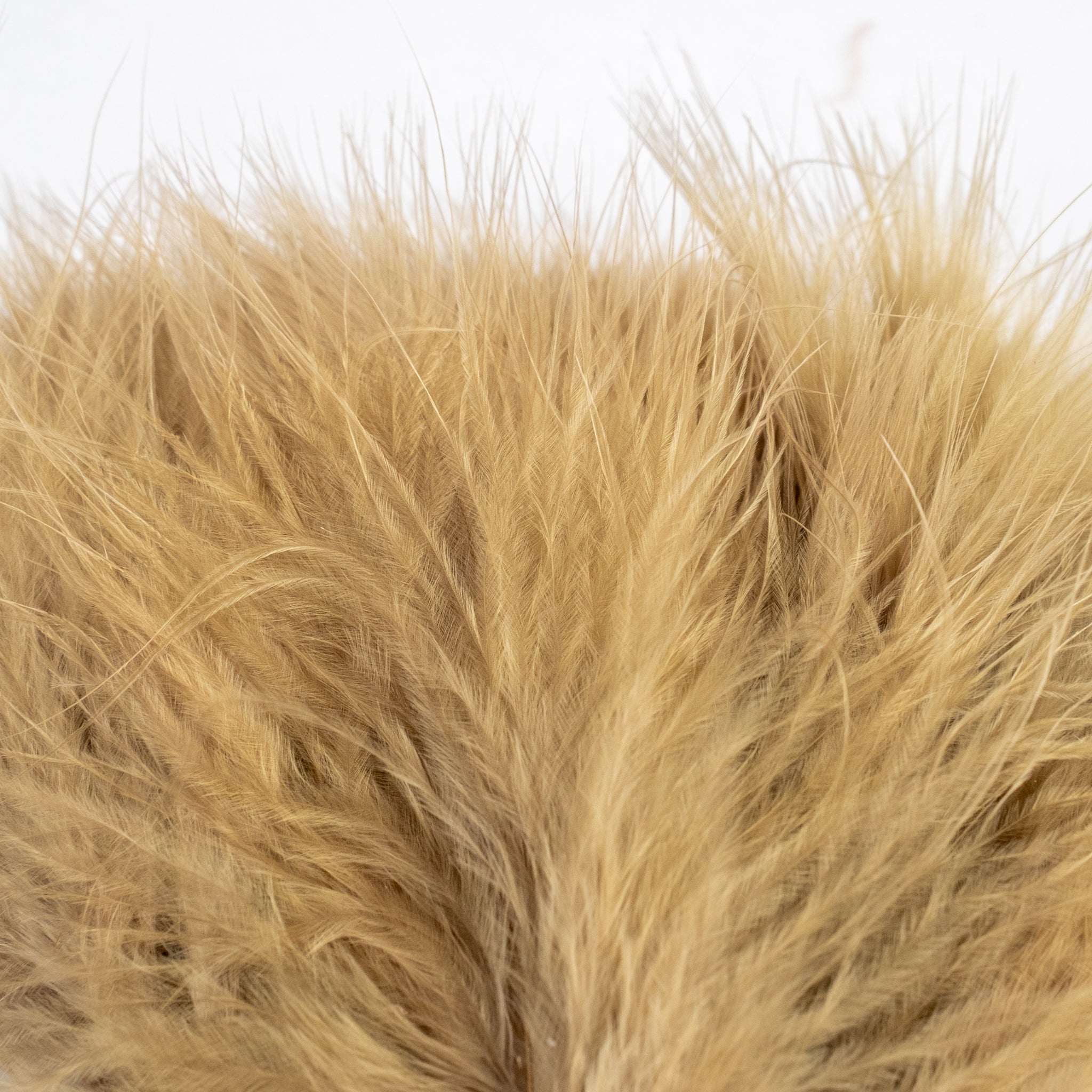 Nature's Spirit Fish Hunter Marabou