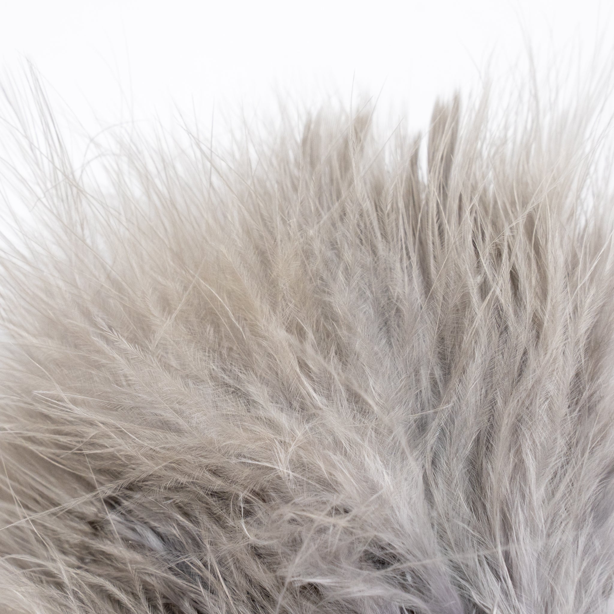 Nature's Spirit Fish Hunter Marabou