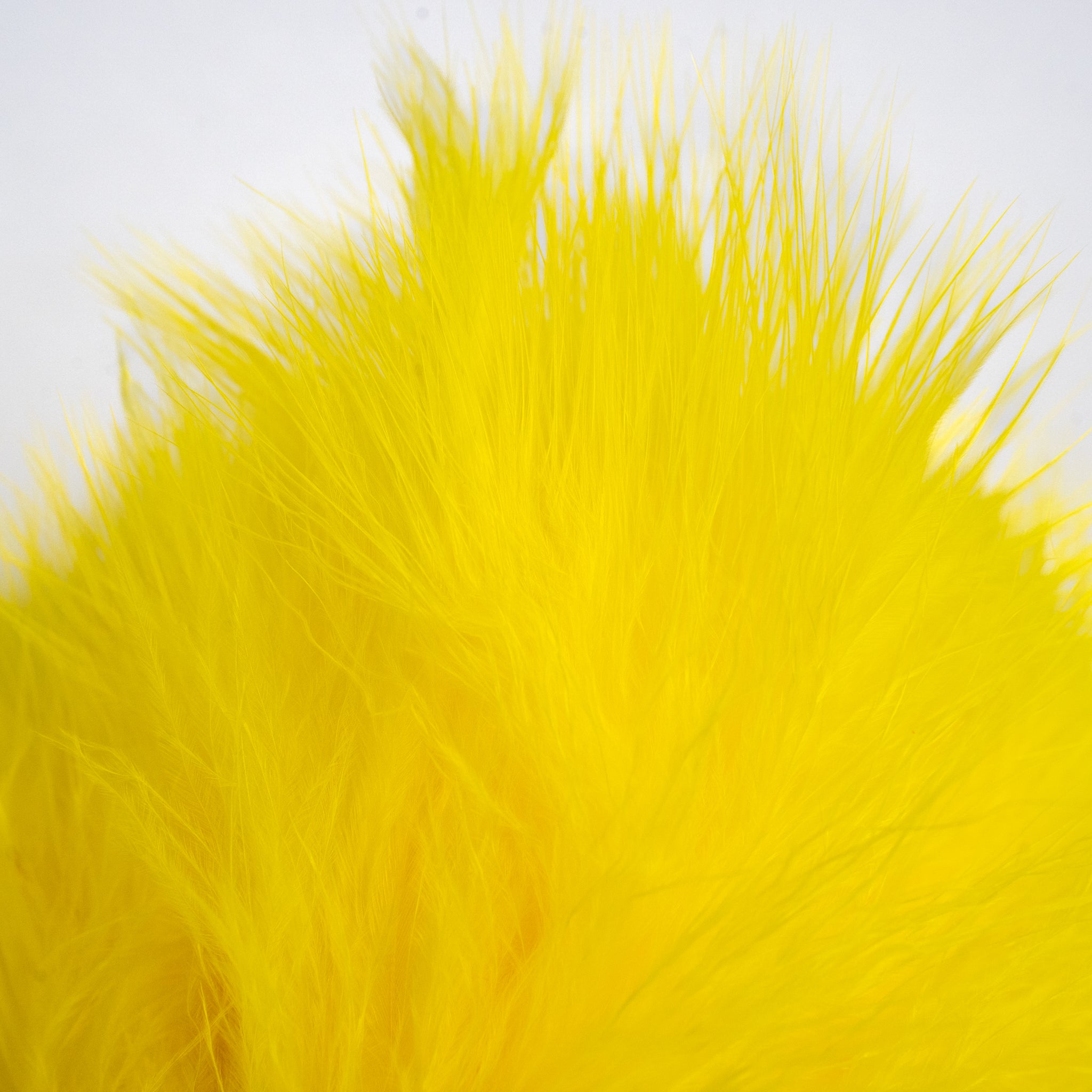 Nature's Spirit Fish Hunter Marabou
