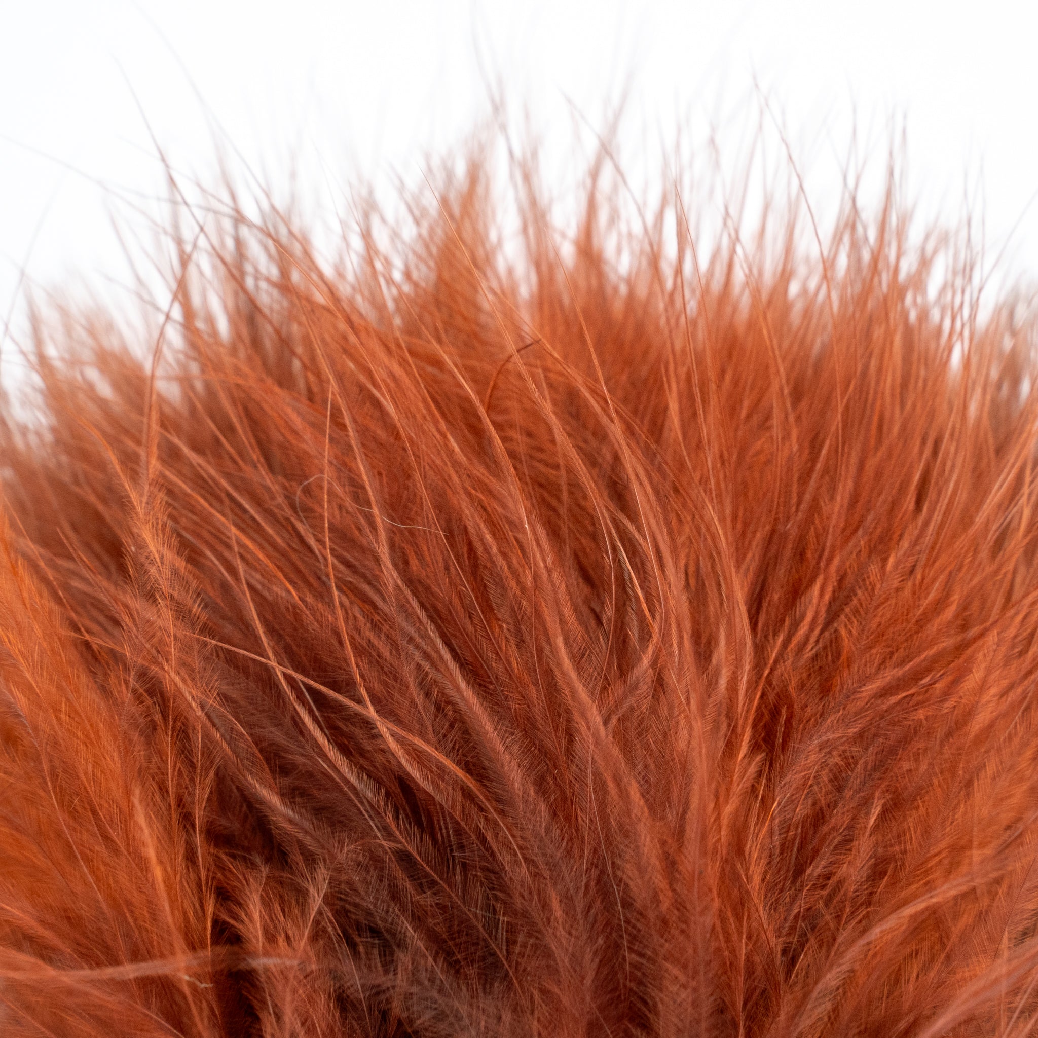 Nature's Spirit Fish Hunter Marabou