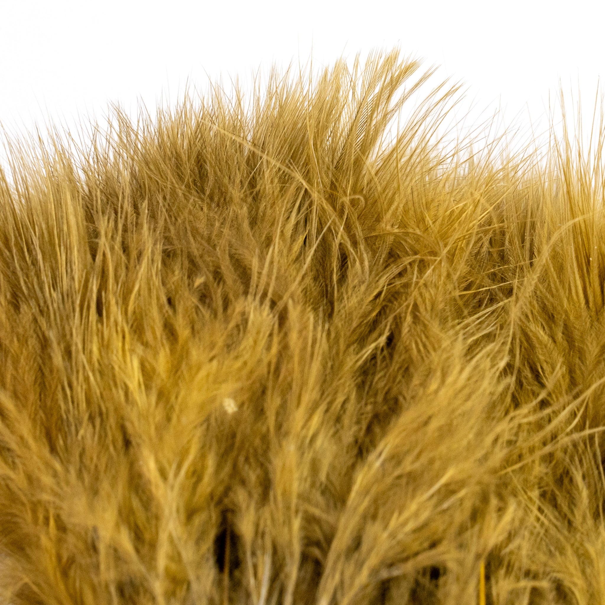 Nature's Spirit Fish Hunter Marabou