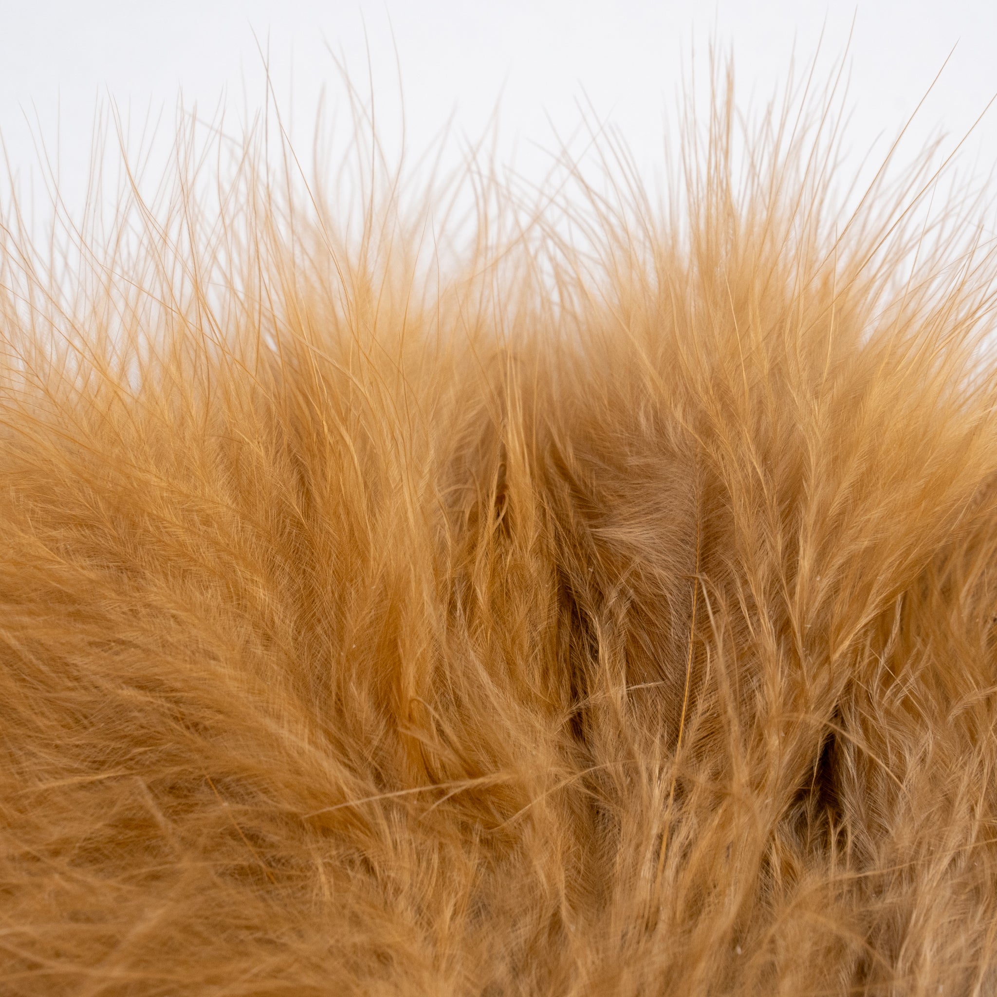 Nature's Spirit Fish Hunter Marabou