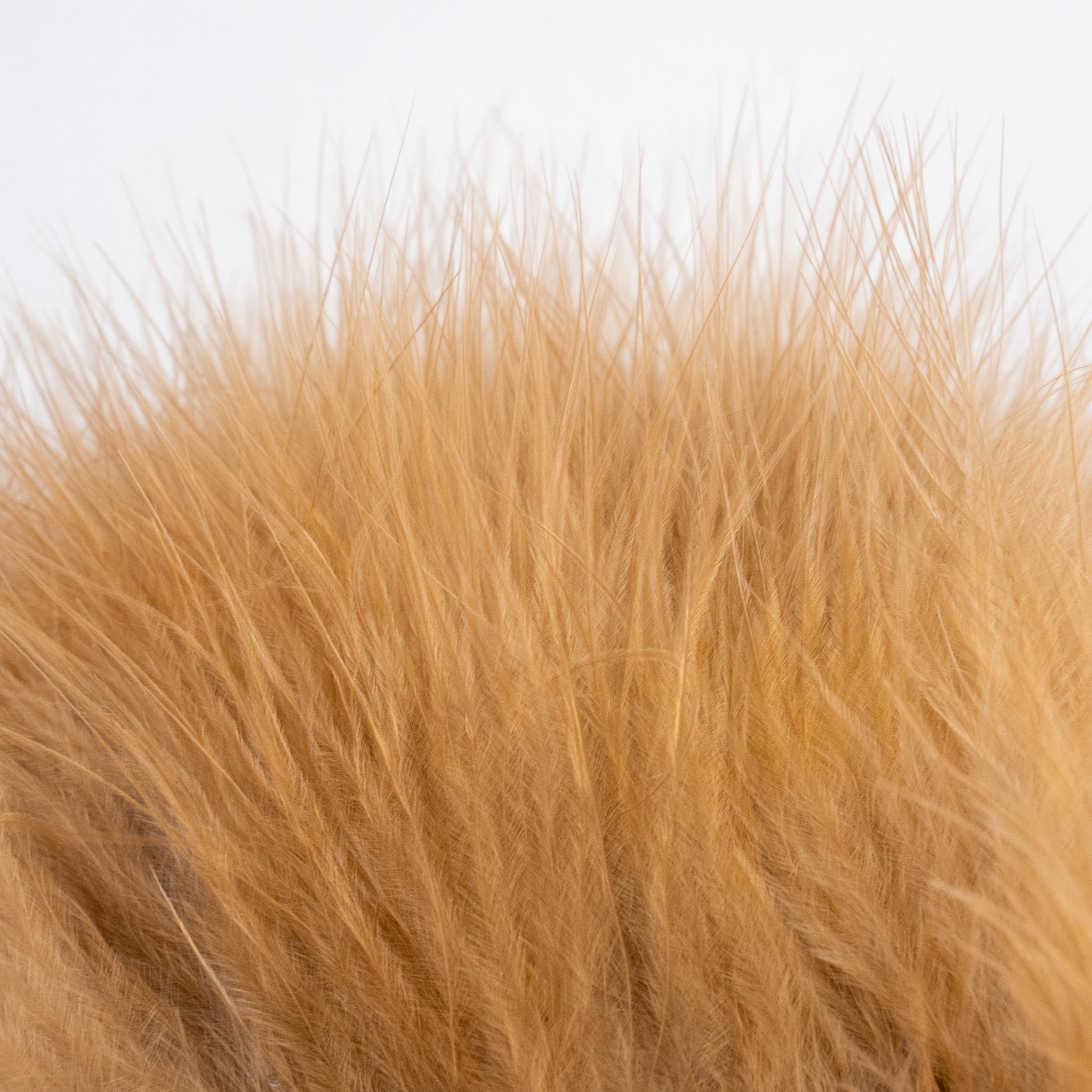 Nature's Spirit Fish Hunter Marabou