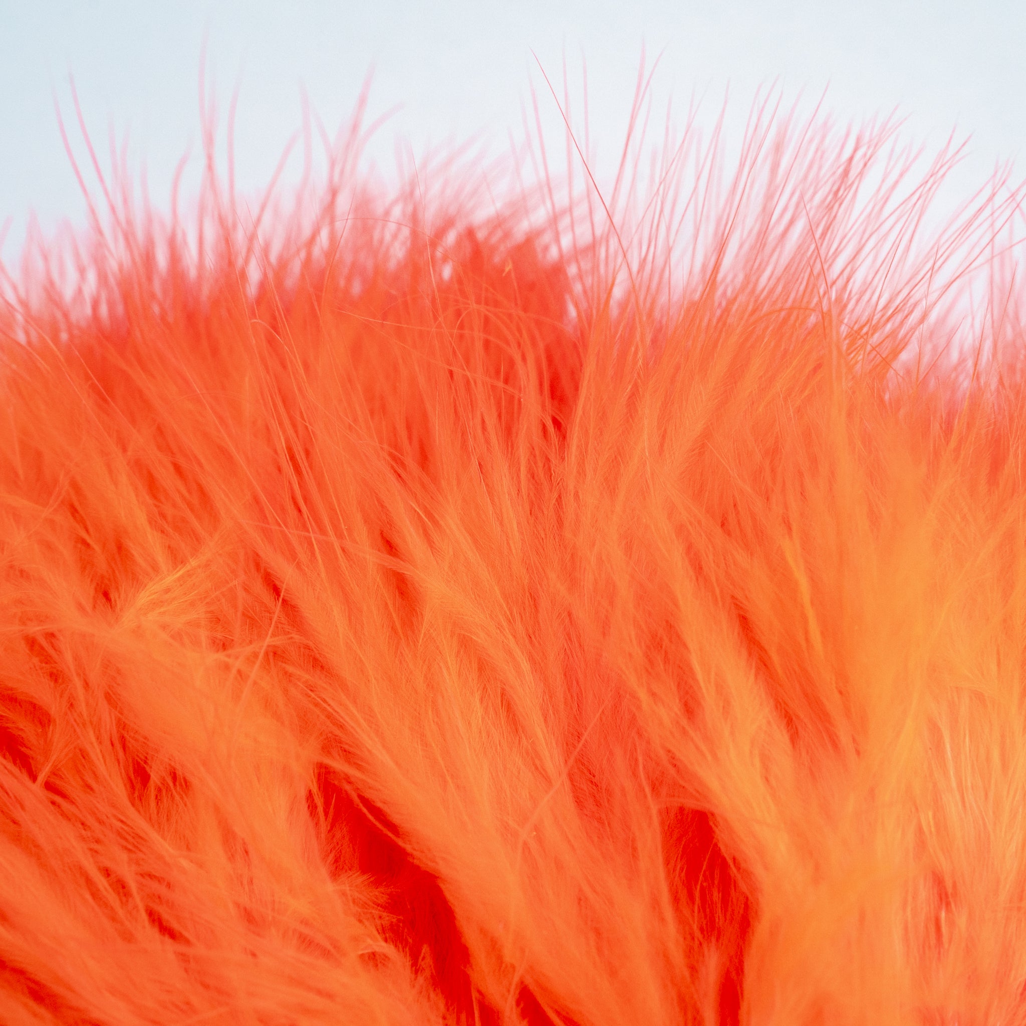 Nature's Spirit Fish Hunter Marabou