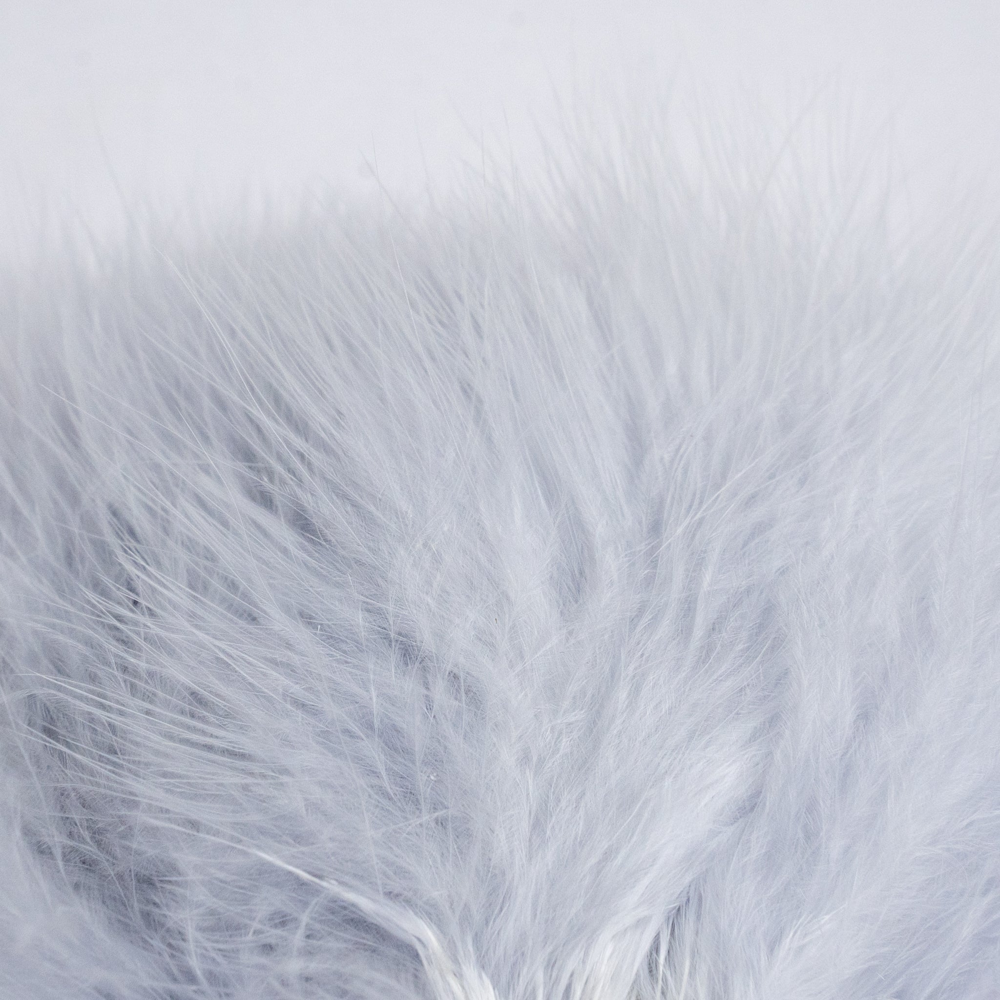 Nature's Spirit Fish Hunter Marabou