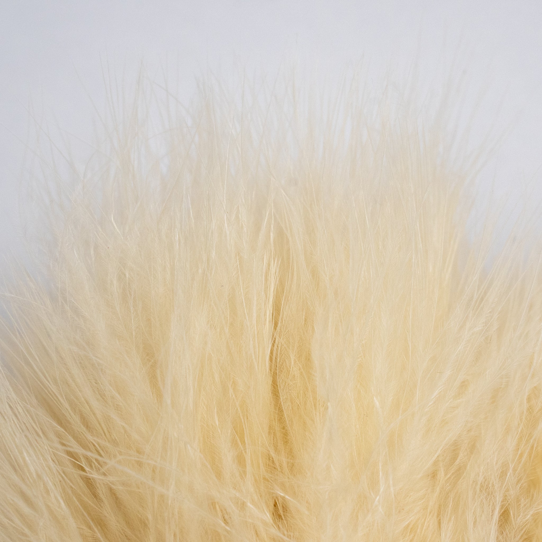 Nature's Spirit Fish Hunter Marabou