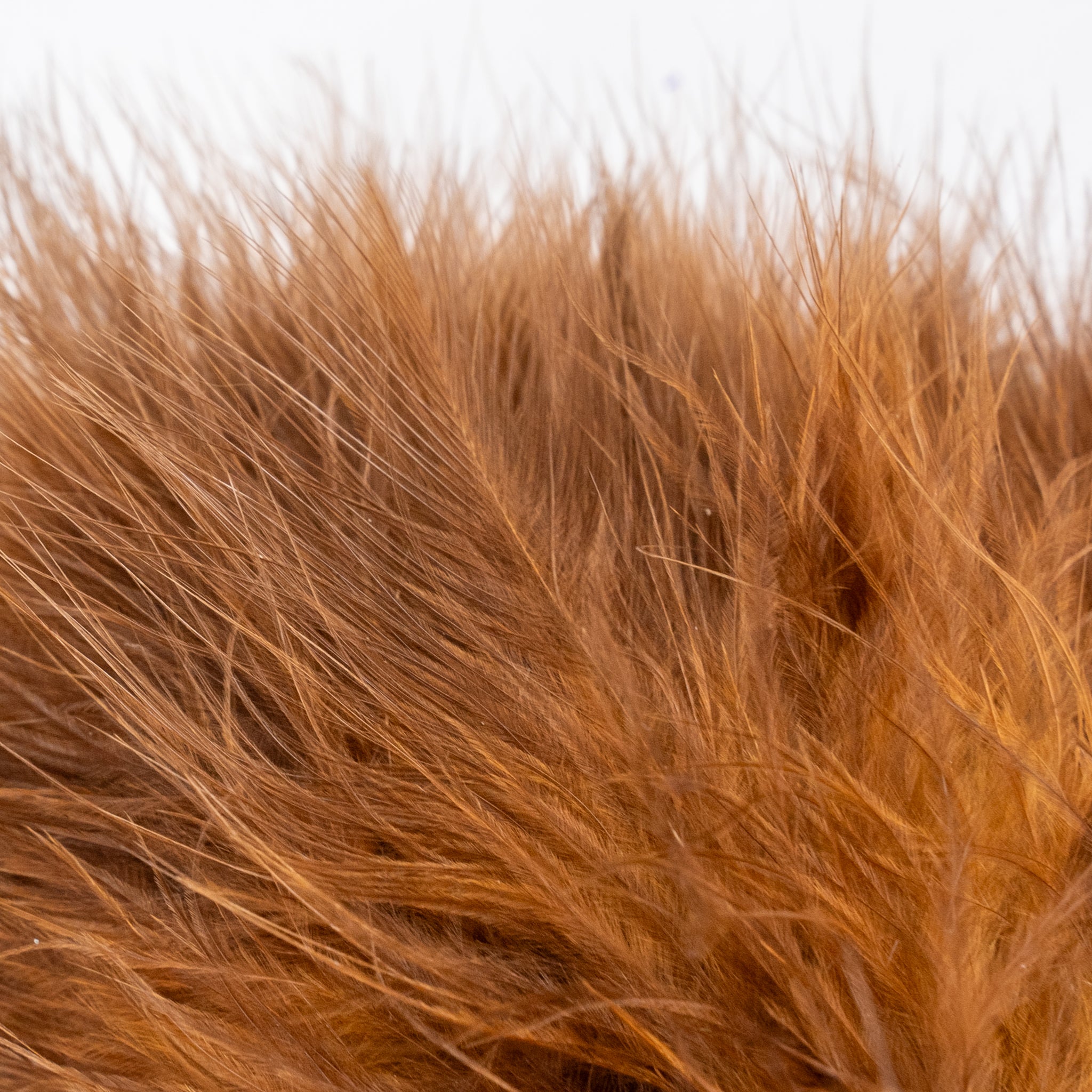 Nature's Spirit Fish Hunter Marabou