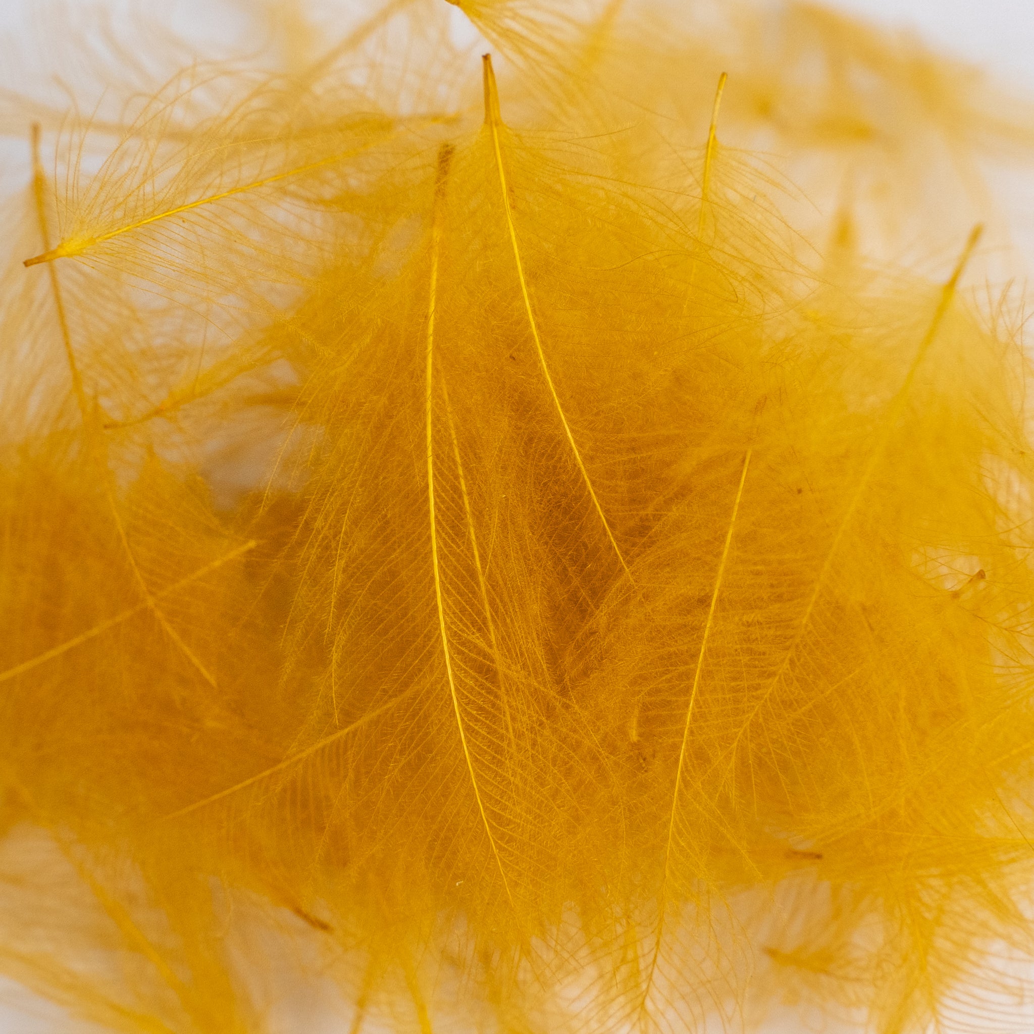 Nature's Spirit Cul de Canard Feathers