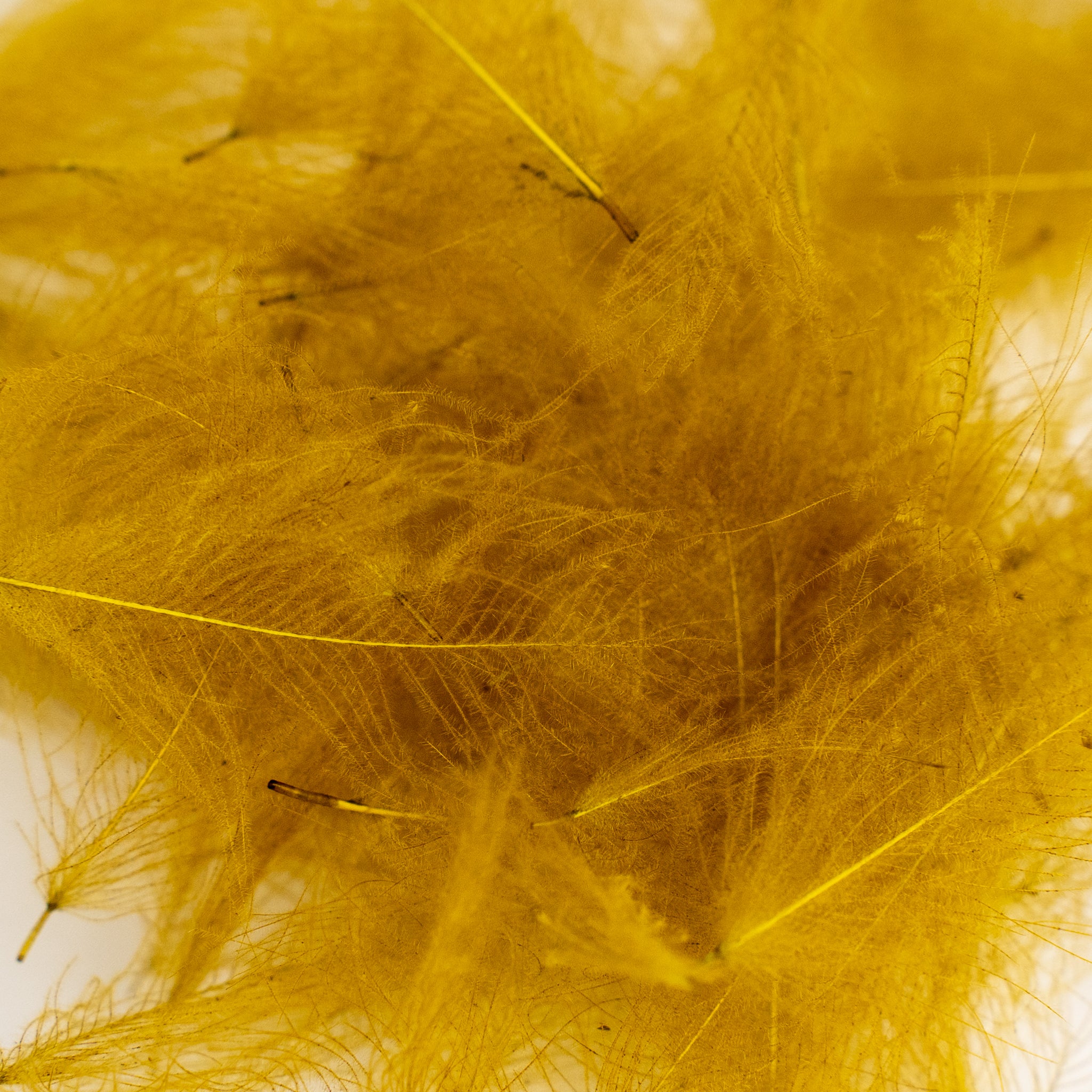 Nature's Spirit Cul de Canard Feathers