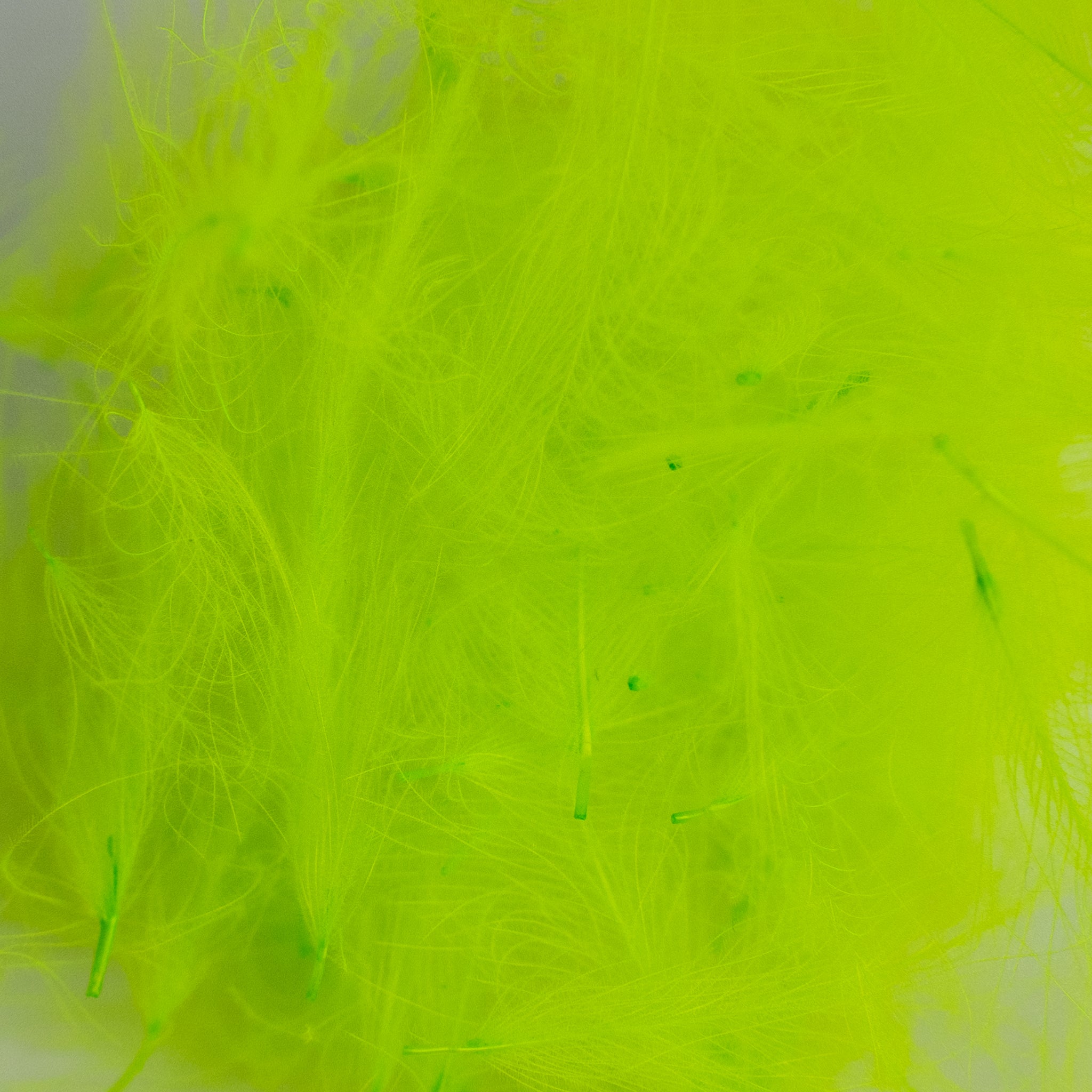 Nature's Spirit Cul de Canard Feathers