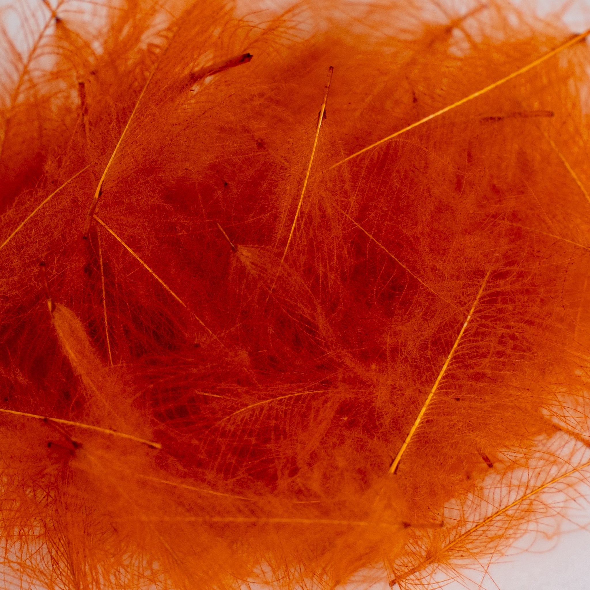 Nature's Spirit Cul de Canard Feathers