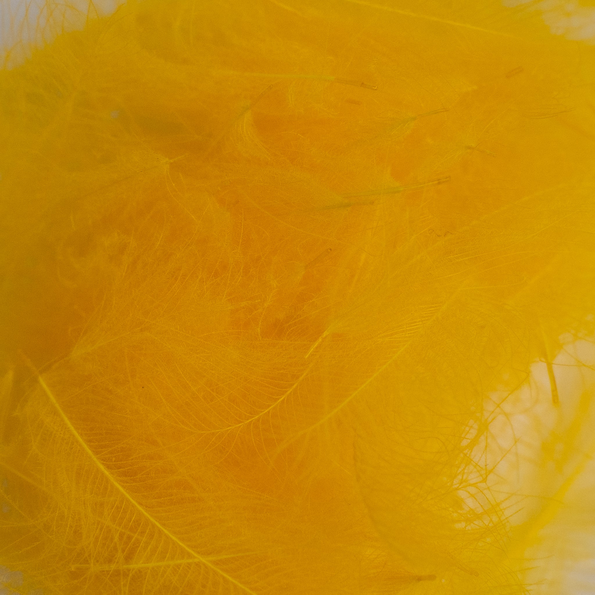 Nature's Spirit Cul de Canard Feathers
