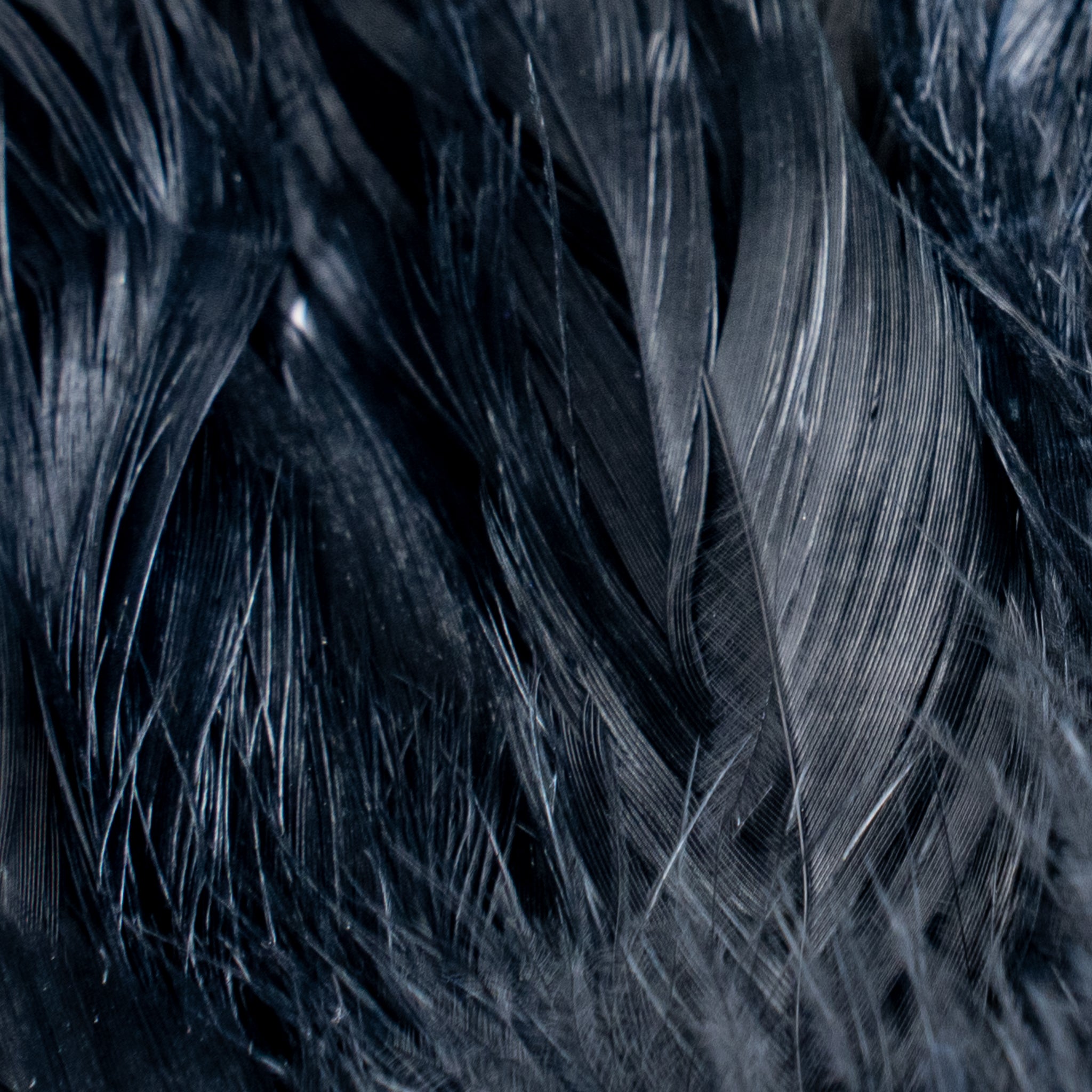 Nature's Spirit Fish Hunter Select Schlappen