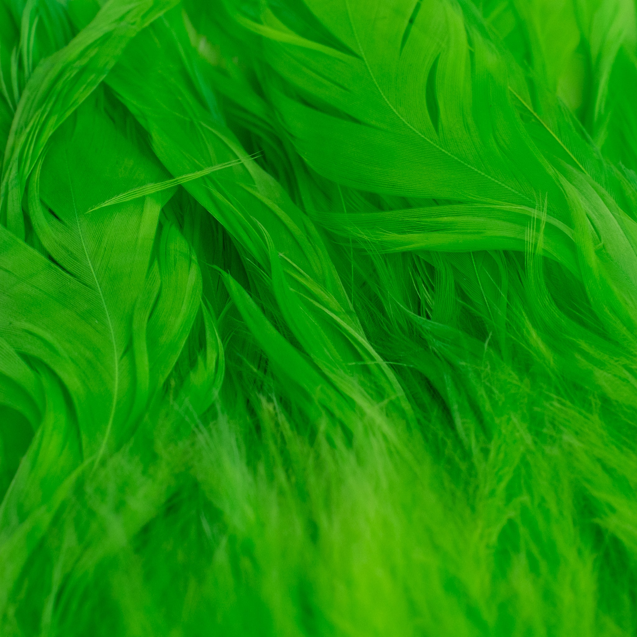 Nature's Spirit Fish Hunter Select Schlappen