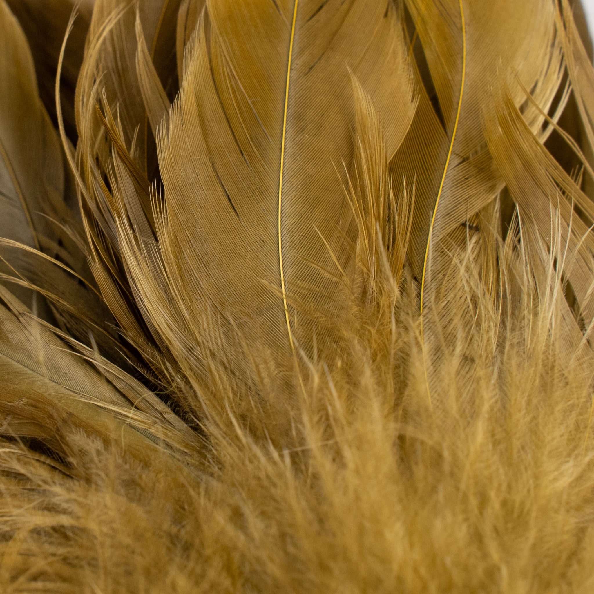 Nature's Spirit Fish Hunter Select Schlappen