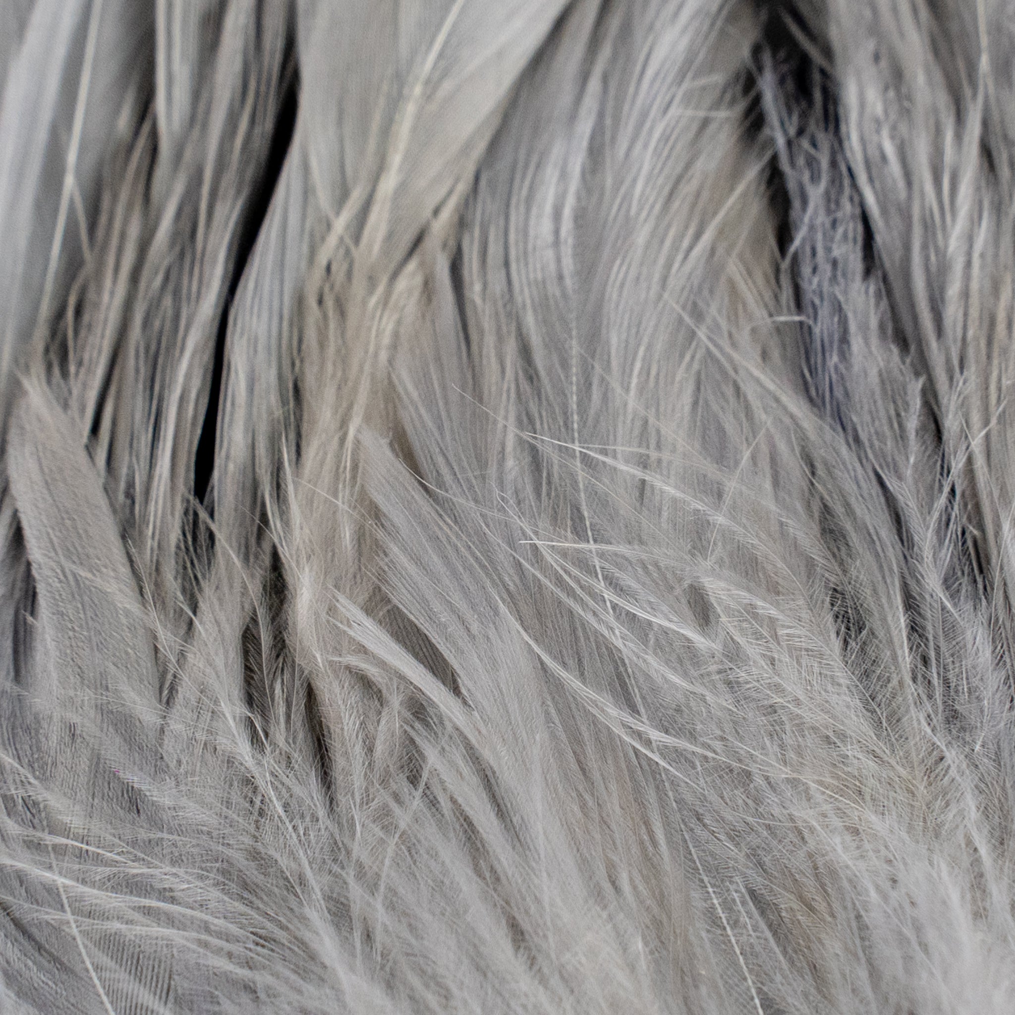 Nature's Spirit Fish Hunter Select Schlappen