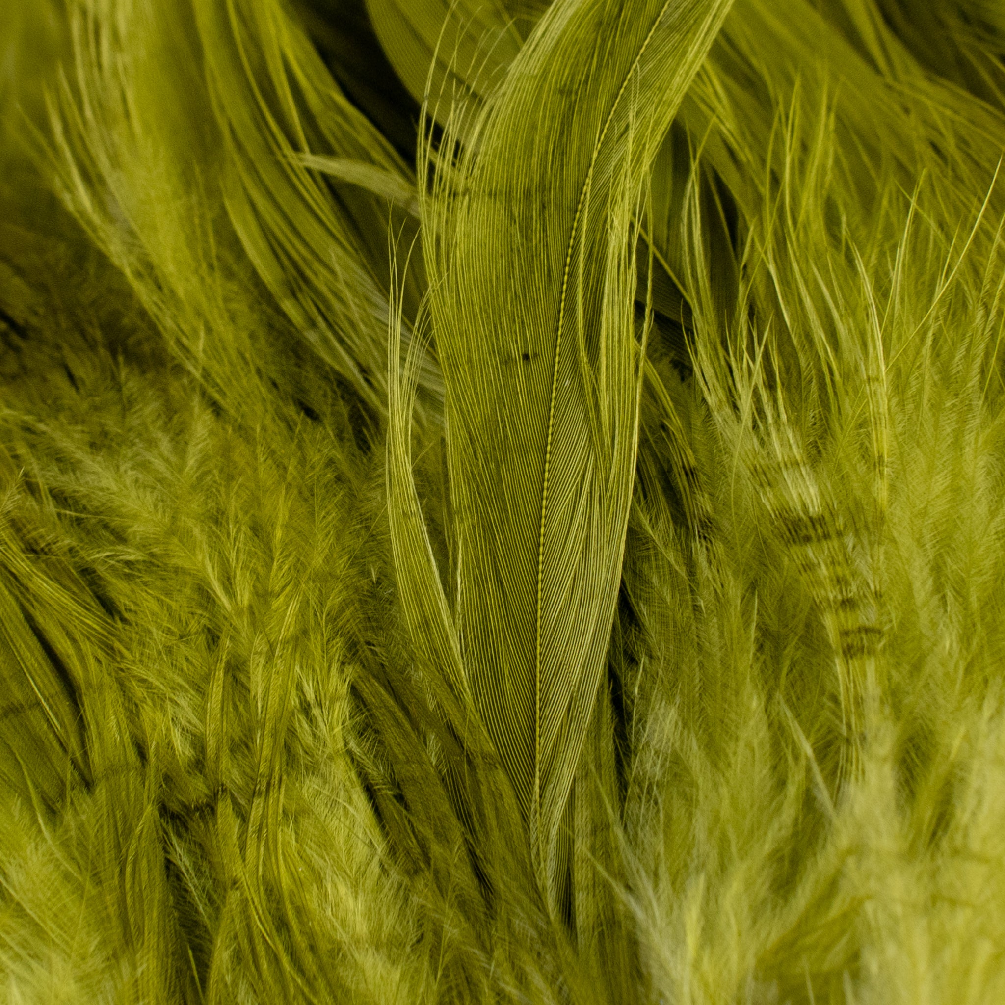 Nature's Spirit Fish Hunter Select Schlappen